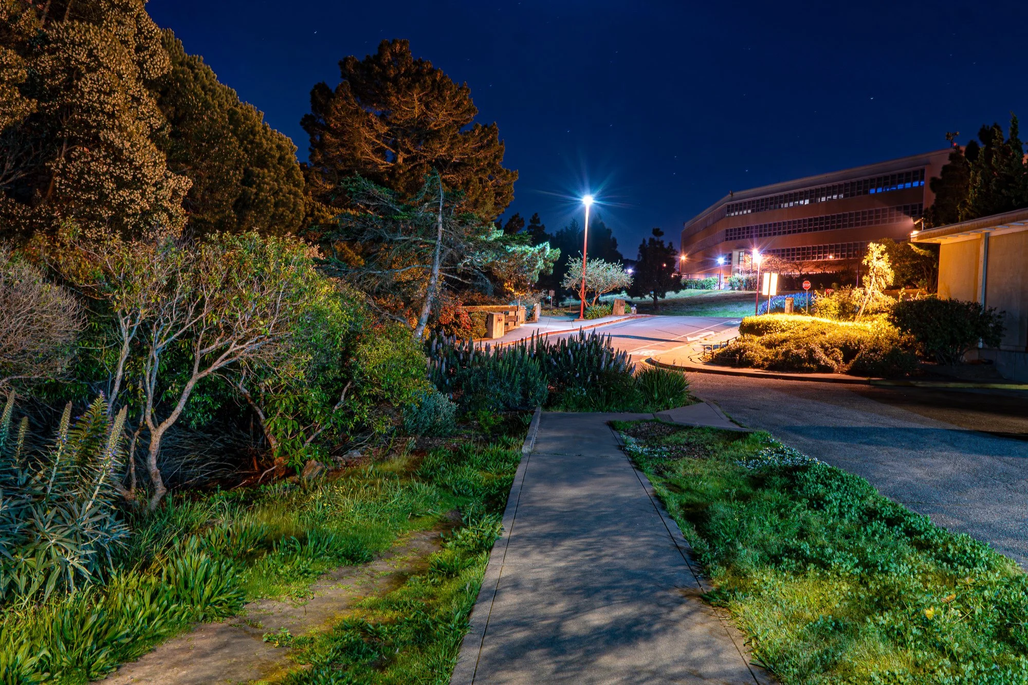 CCSF_Pre-Dawn-3.jpg