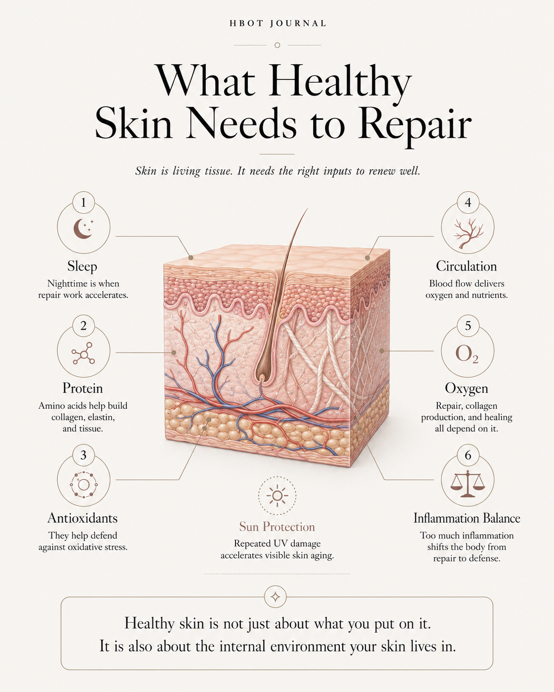 Educational skin health infographic explaining how sleep, nutrition, circulation, oxygen, sun protection, and inflammation balance support healthy skin repair and aging.