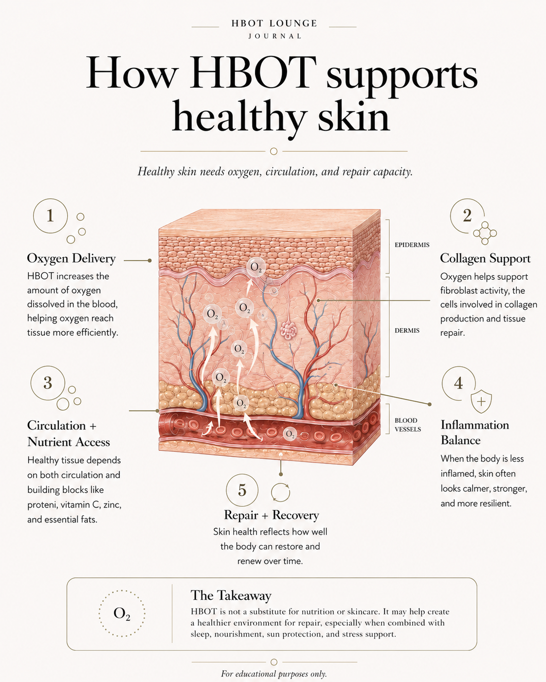 Educational infographic explaining how hyperbaric oxygen therapy may support healthy skin by improving oxygen delivery, circulation, collagen support, inflammation balance, and tissue repair.