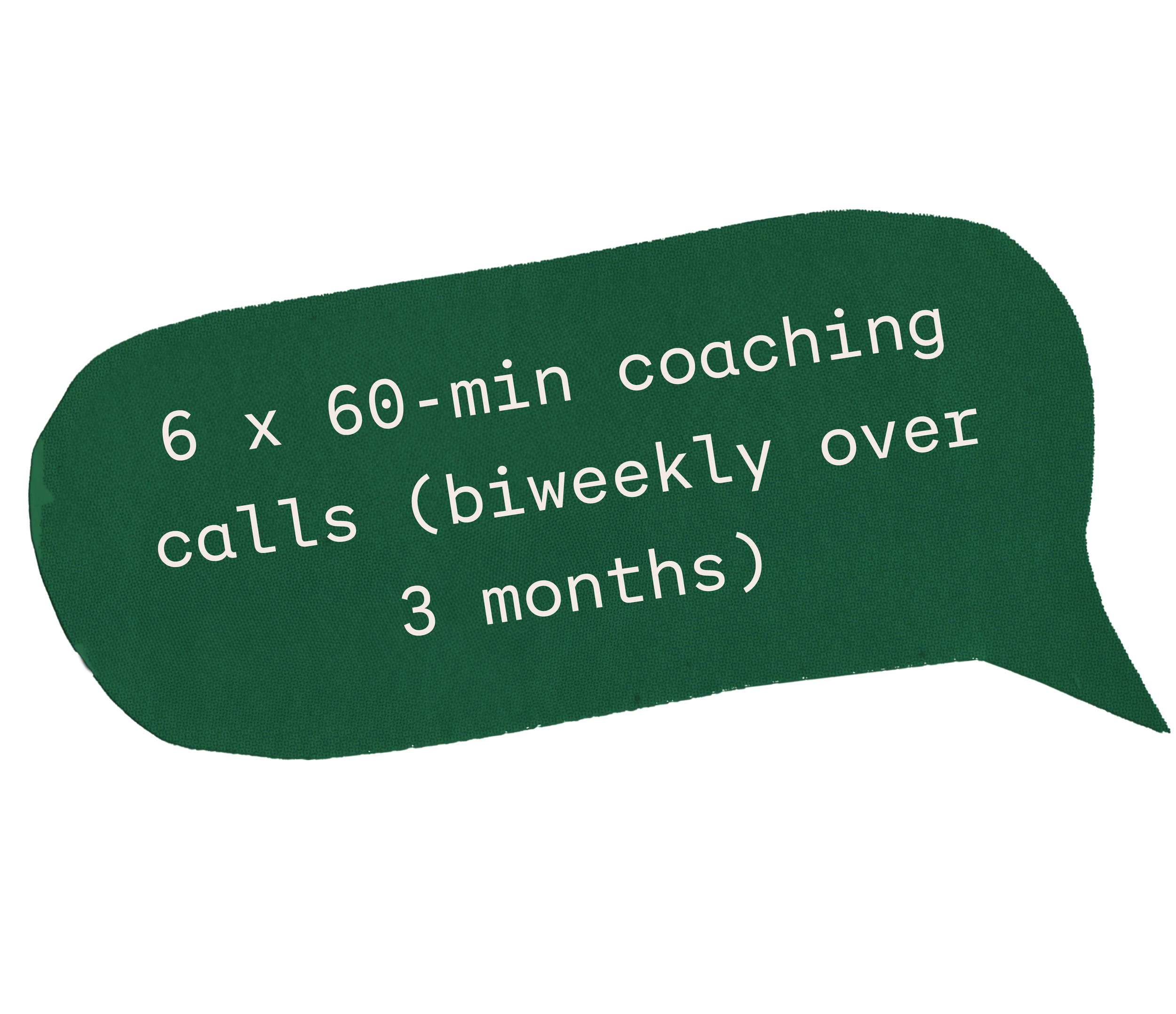 LaurenMcConnell_WebAssets_1on1_whatsincluded-29.png