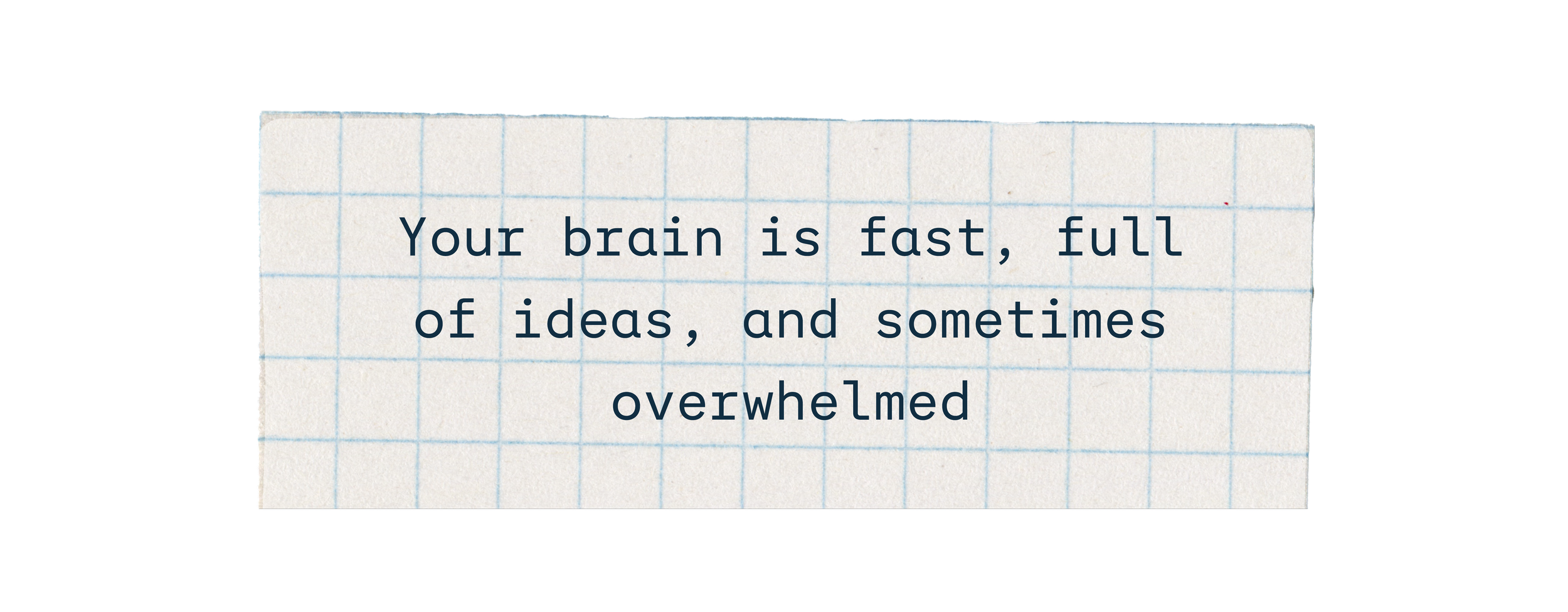 LaurenMcConnell_WebAssets_1on1_Snips-22.png