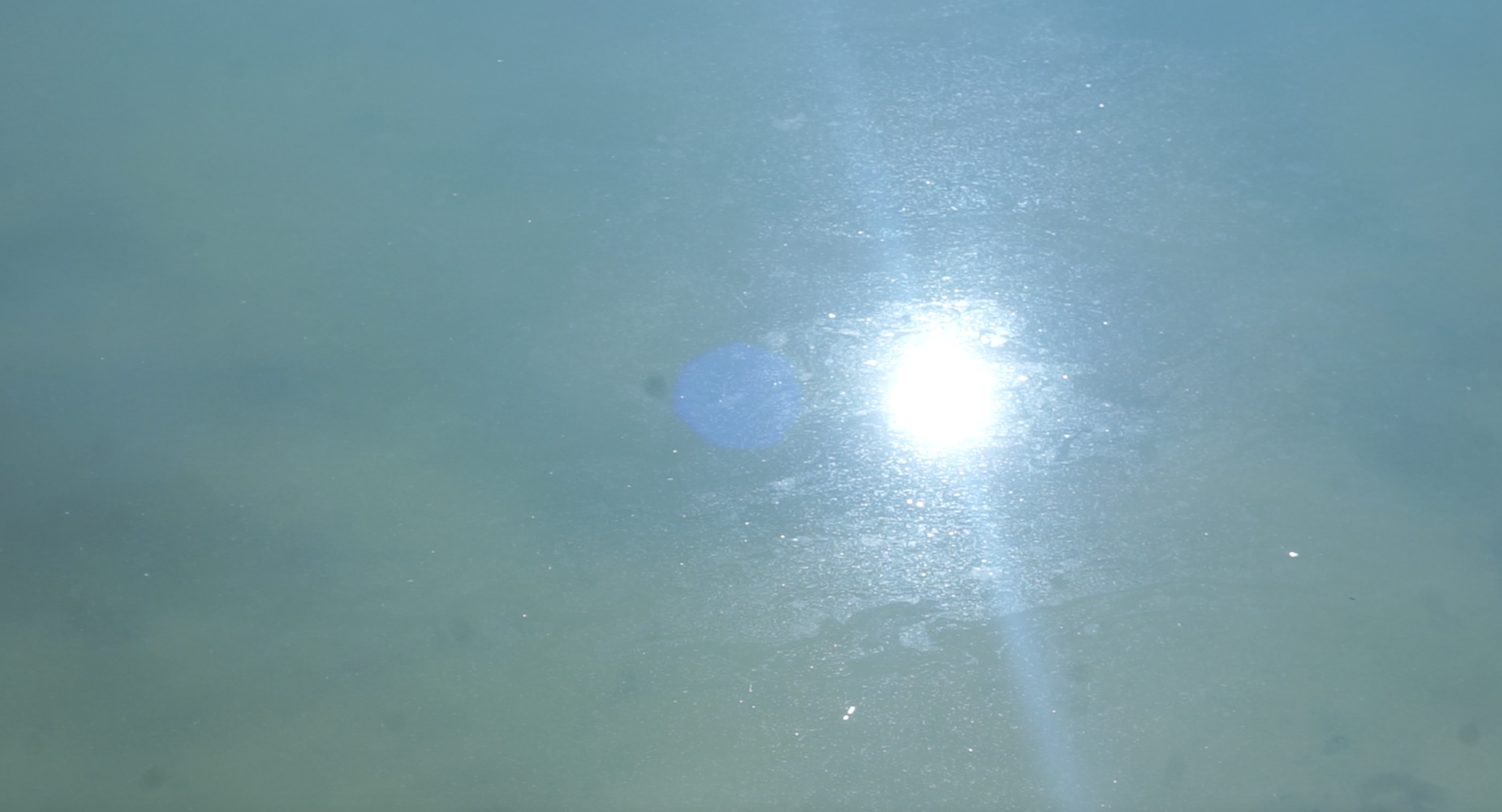 Screenshot 2025-08-28 at 1.29.19 PM.png