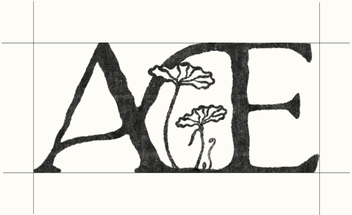 Abigail Eir