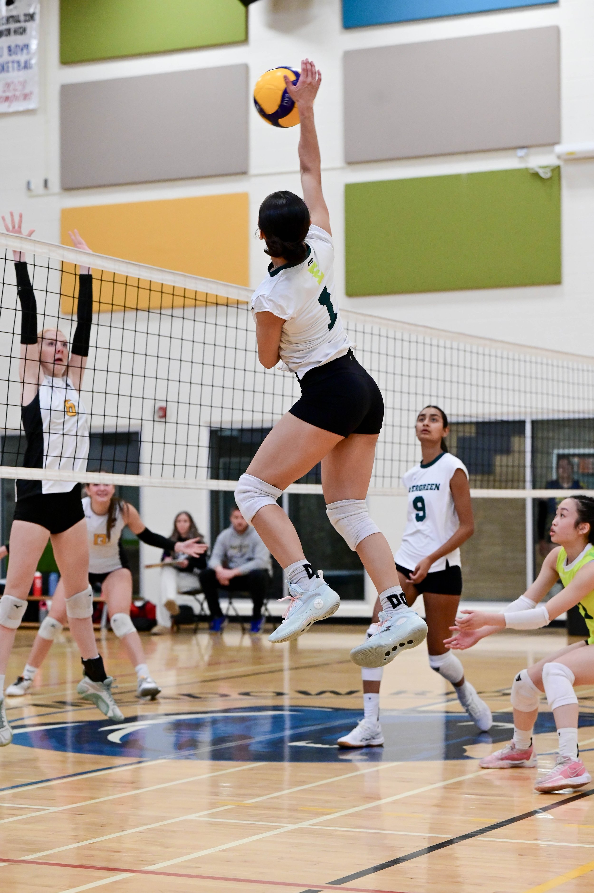 Open Gyms & Tryouts | Register Now — Evergreen Athletes & Volleyball Club