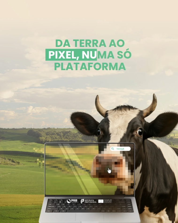 Captura de ecrã 2025-09-20, às 18.44.55.png