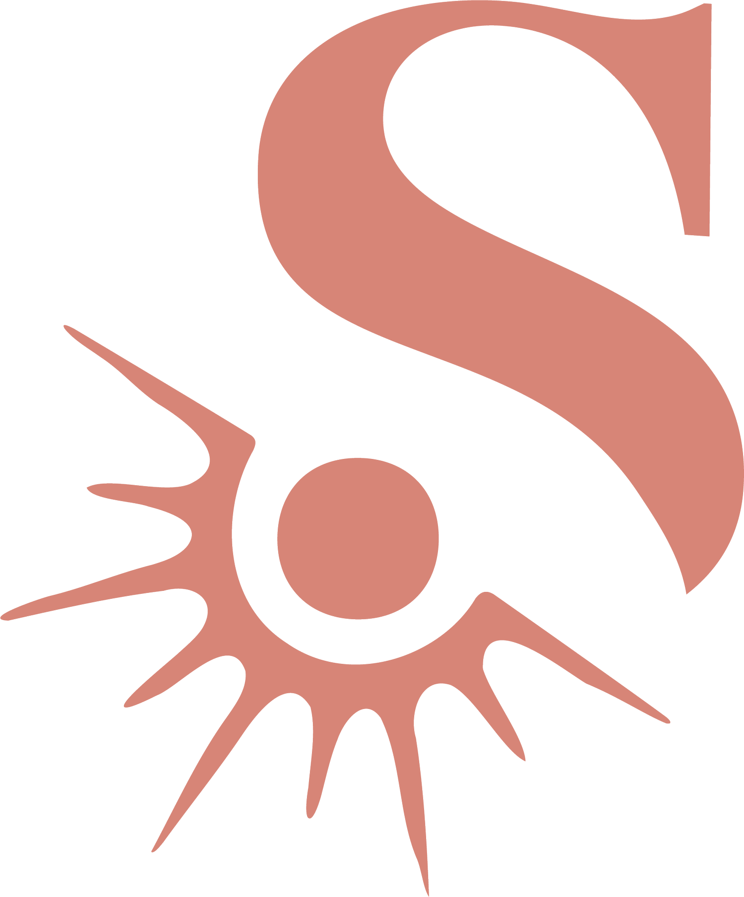 Soul Tied Design &amp; Photography