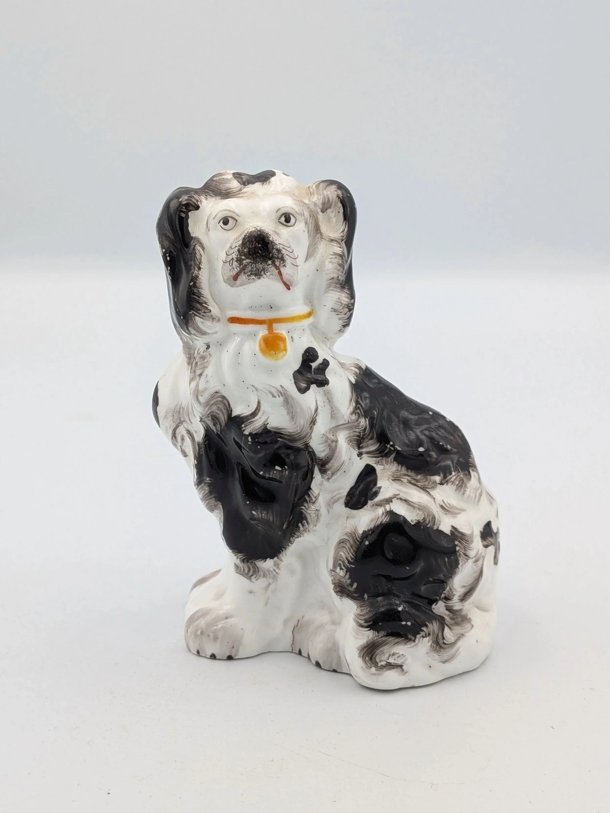 Black and White Spaniel