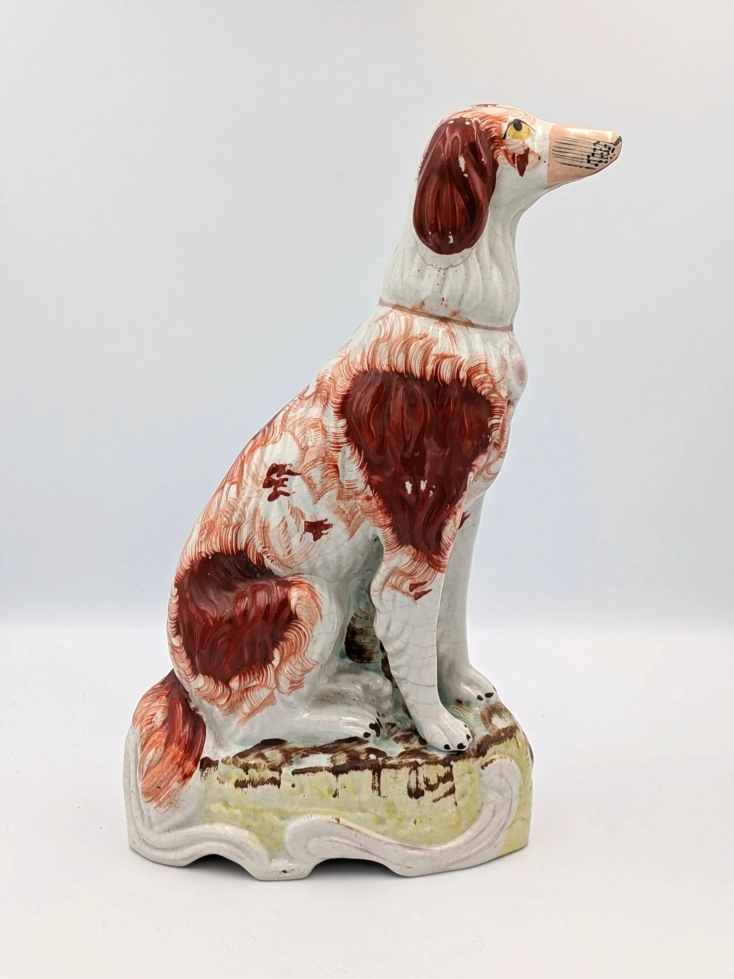 Irish Setter (Thomas Parr)