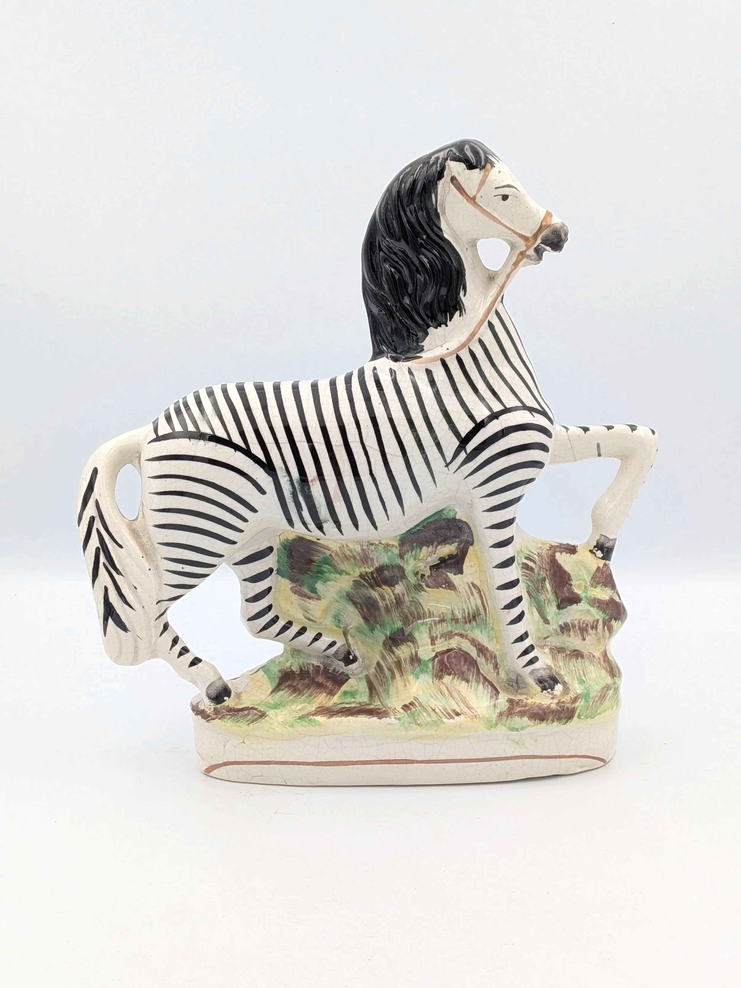 Zebra