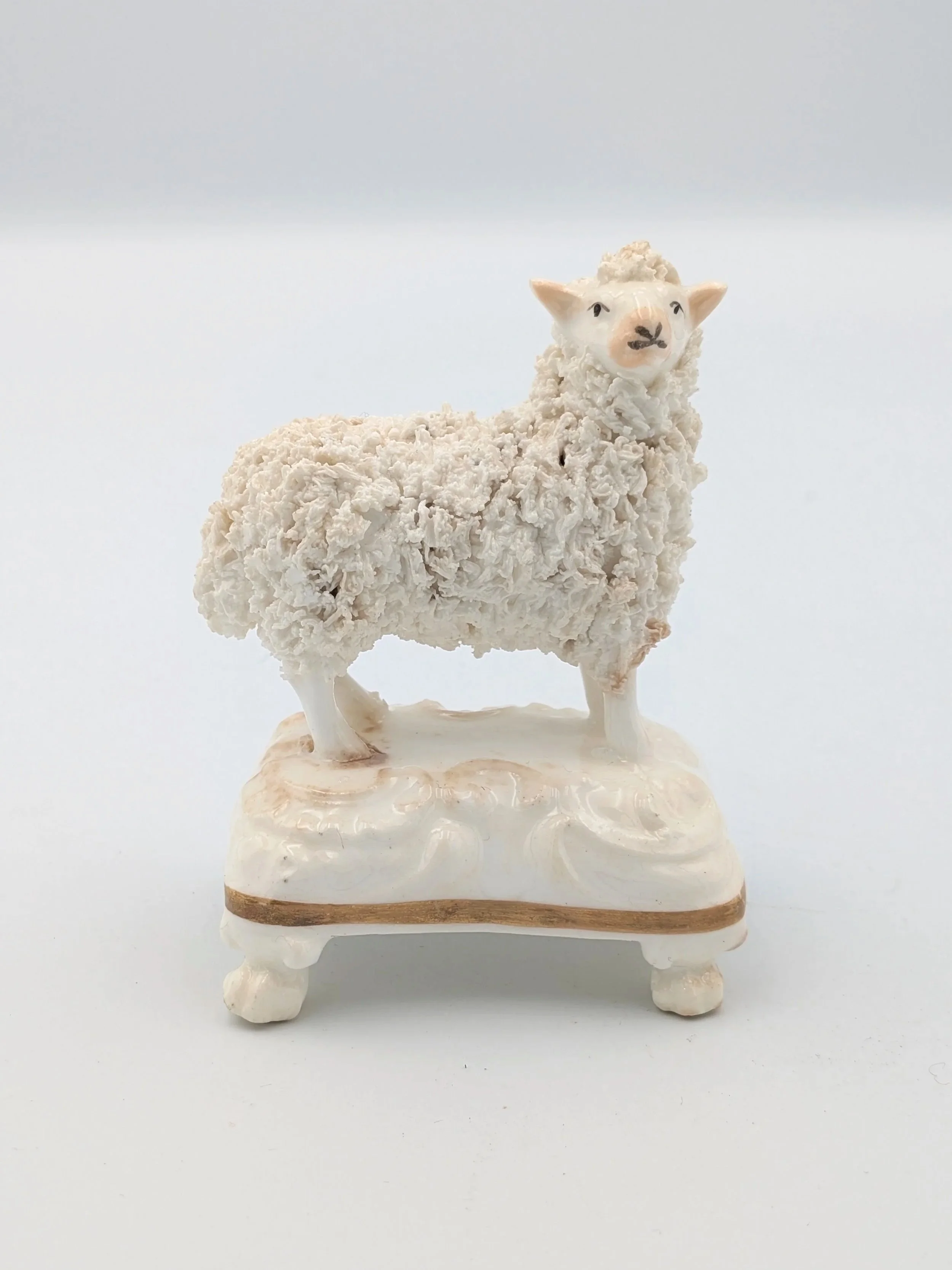 Sheep