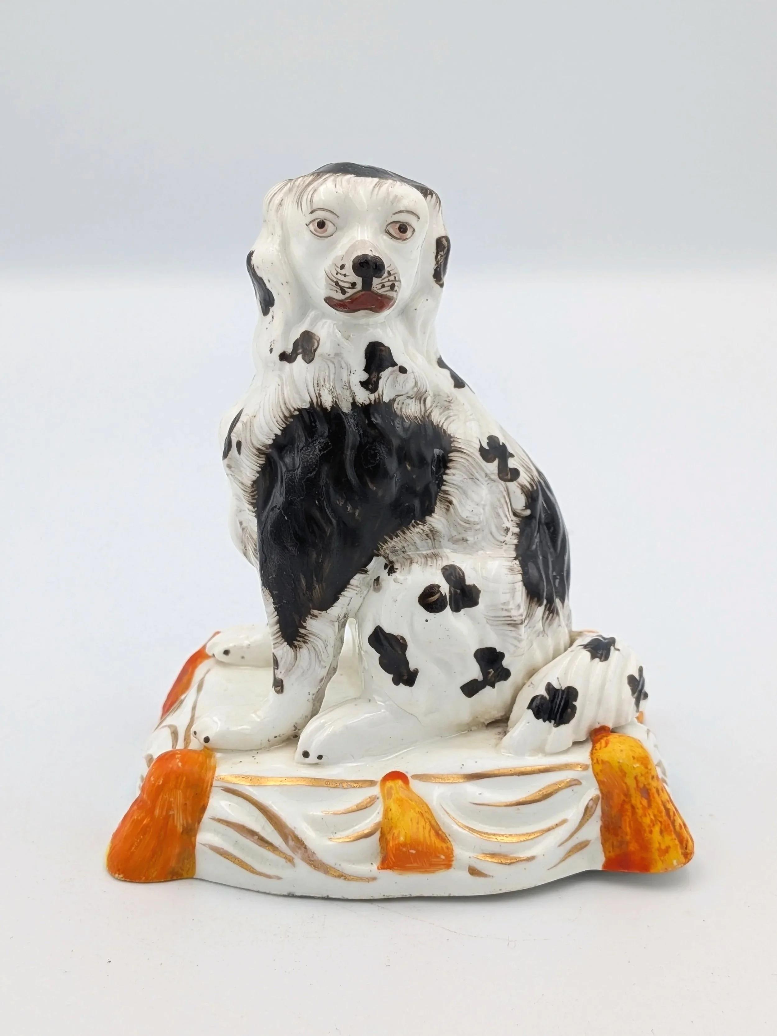 Black and White Spaniel on a Cushion