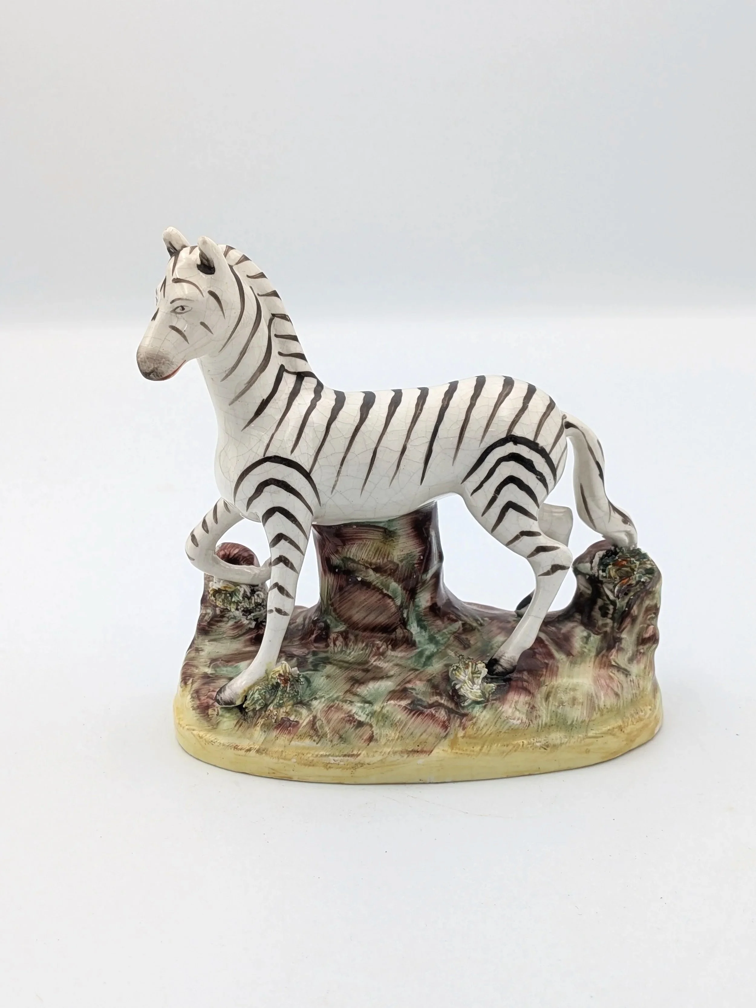 Zebra (Thomas Parr)
