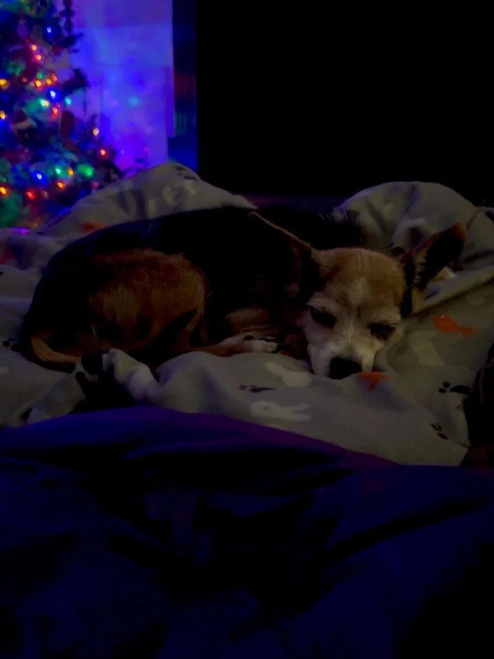 Over 30K streams in the first two weeks?! What the heck?! So overwhelmed and grateful that people are listening to my lil Christmas tune. 🥰 The holidays are in full swing now and I&rsquo;m excited for the days to come, as we celebrate the Reason for