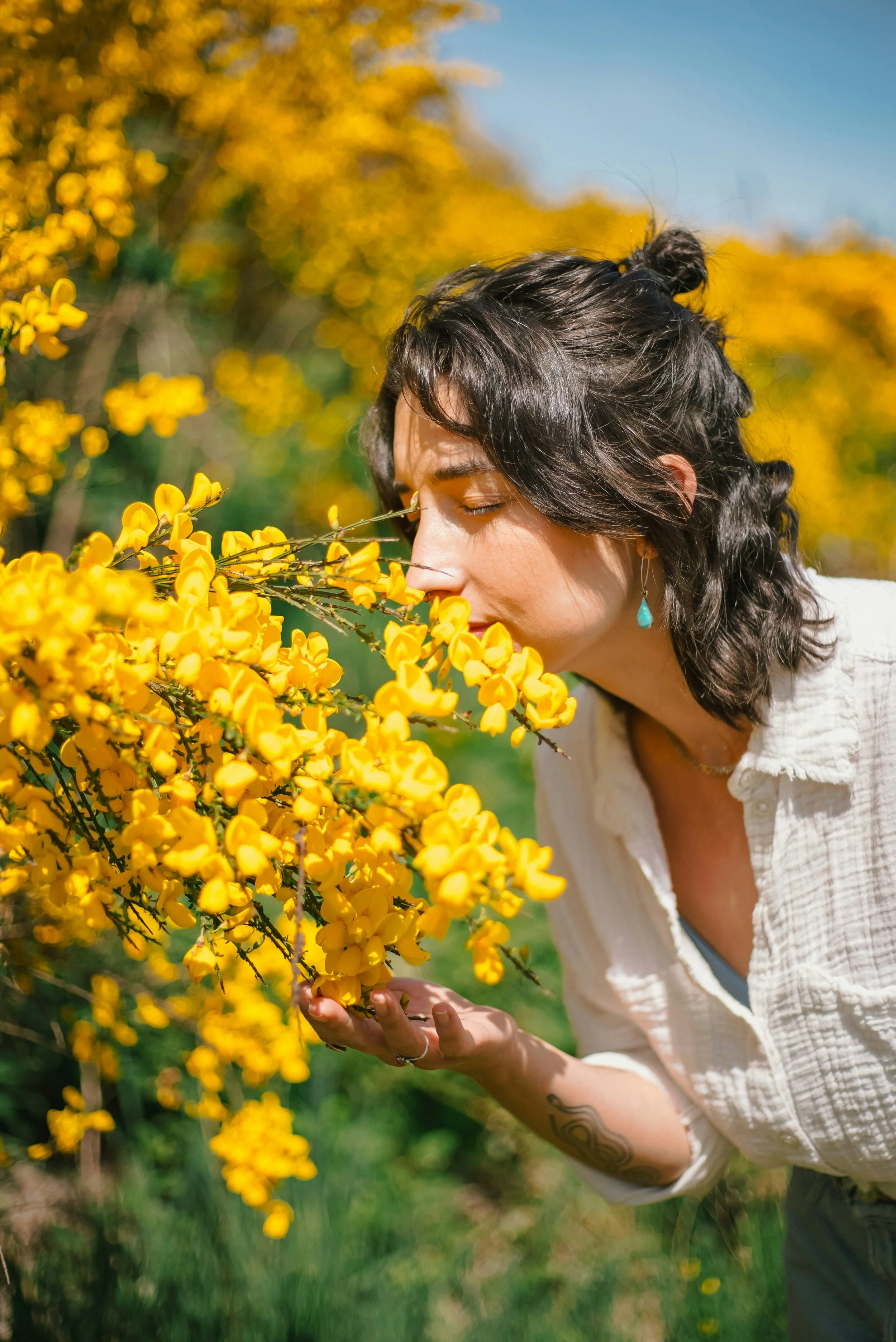 Eco Centering
Hike in Nature and Develop Your Mindfulness and Grounding Capacities Through Looking, Listening, Touch, Breath and Plant Medicine