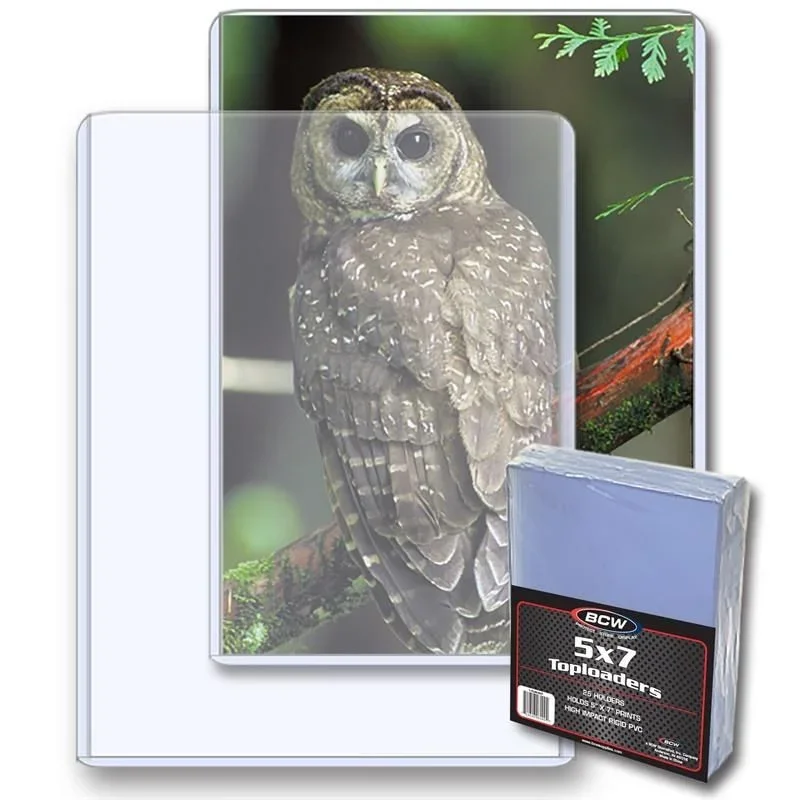 BCW 5x7 - Topload Holder