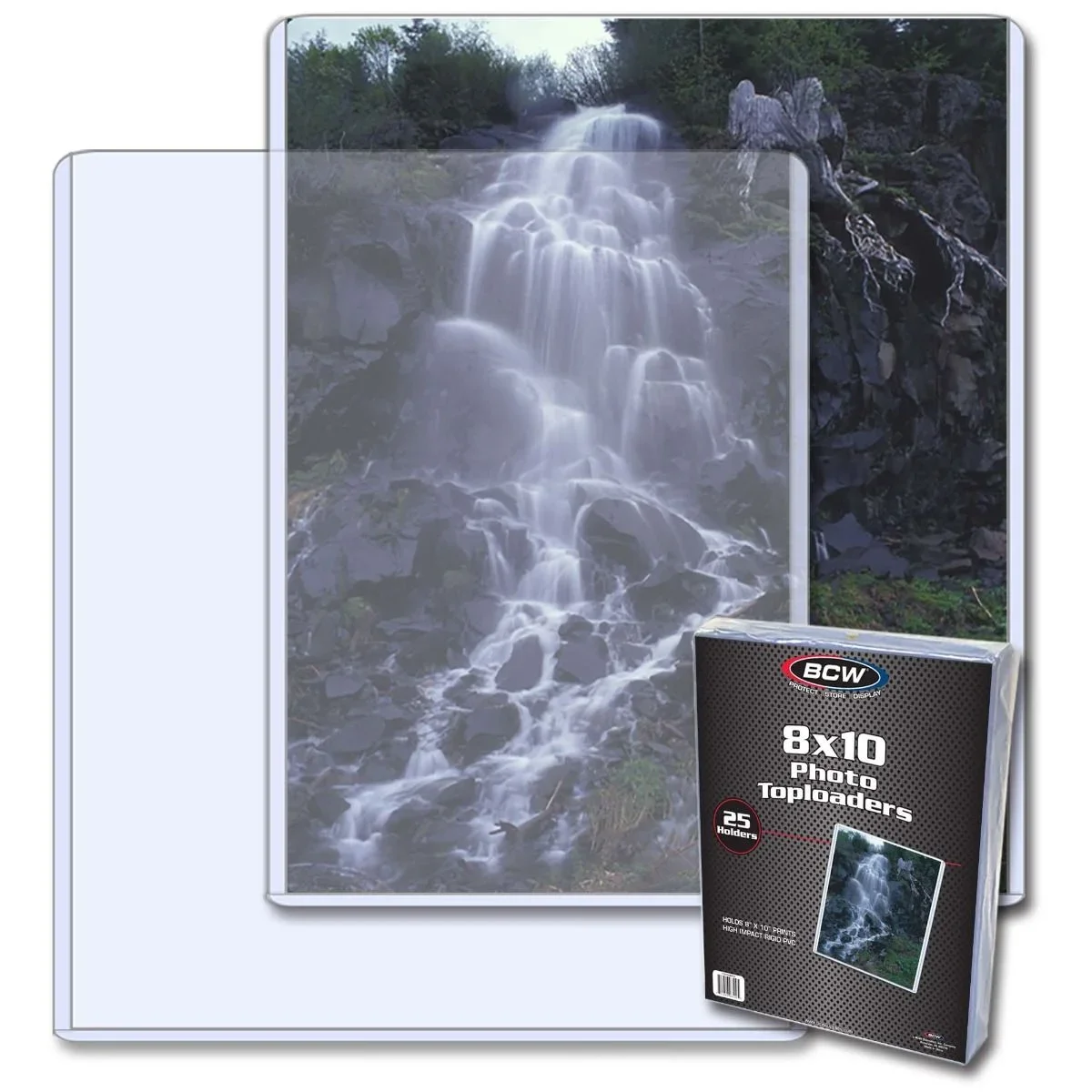 BCW 8 x10 - Topload Holder