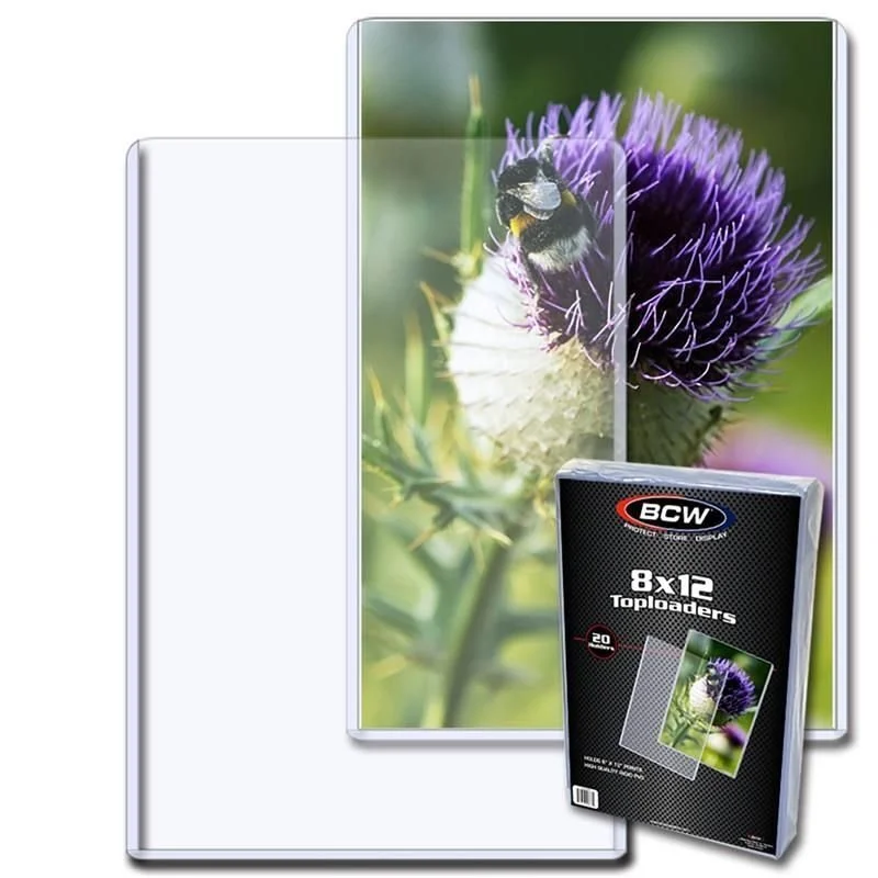 BCW 8x12 Topload Holder