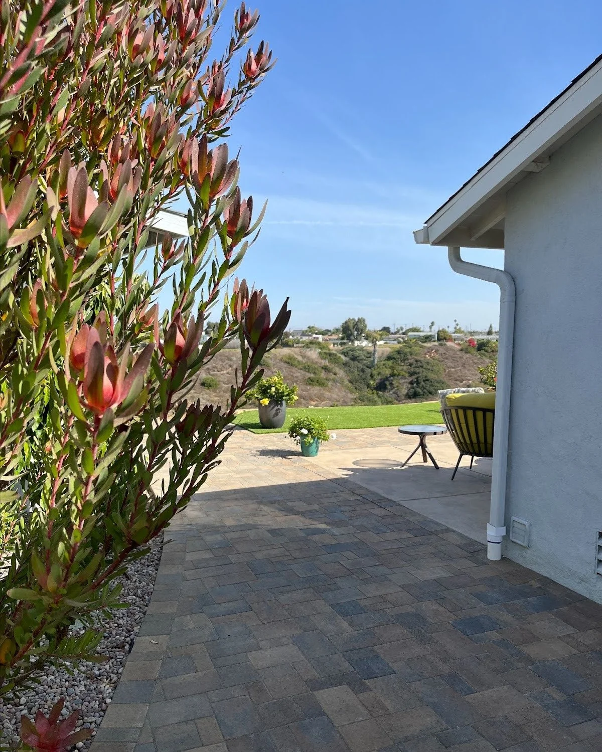 This backyard just got a stunning upgrade! 🌞 The client is ready to host memorable gatherings in this stylish and functional space.
Let's create the backyard of your dreams today!
📞 858-399-1684

#BackyardGoals #OutdoorTransformation #LandscapeDesi