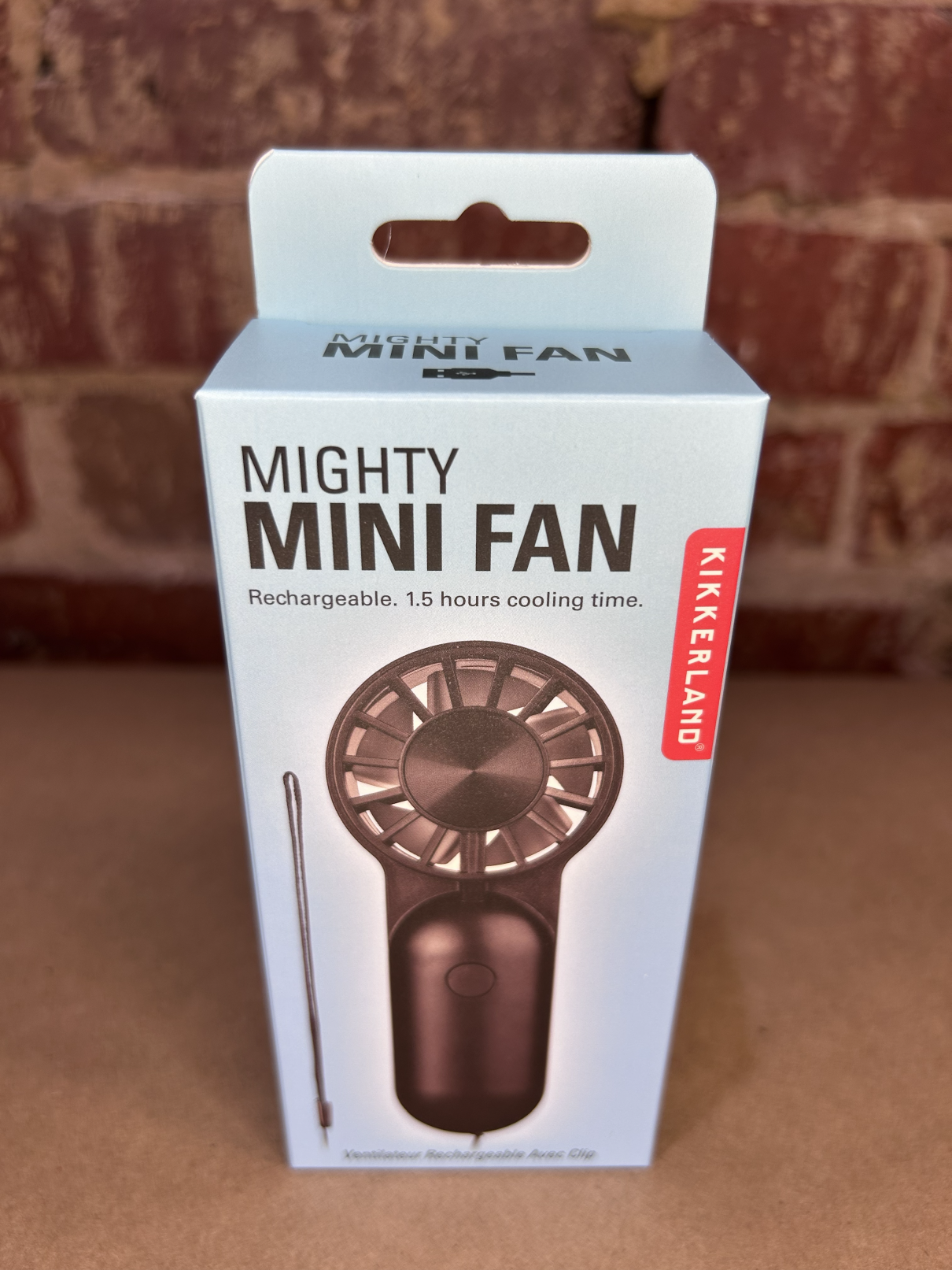 Mighty Mini Fan