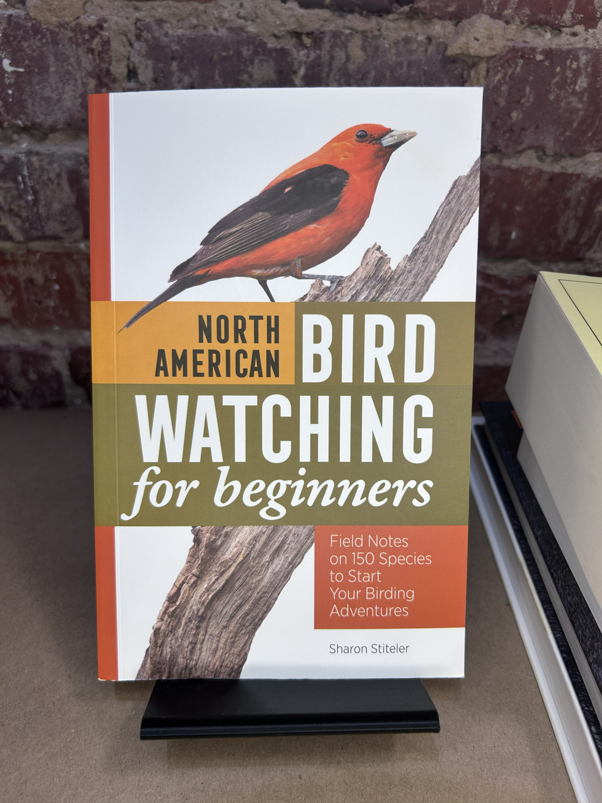 Bird Watching for Beginners