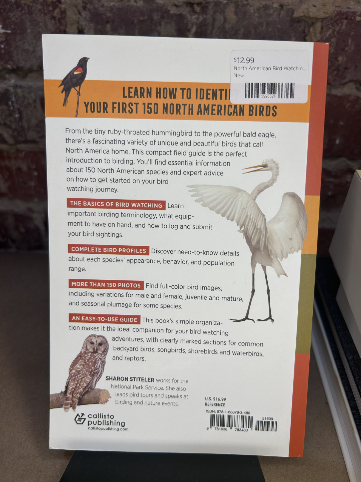 bird watching back.png