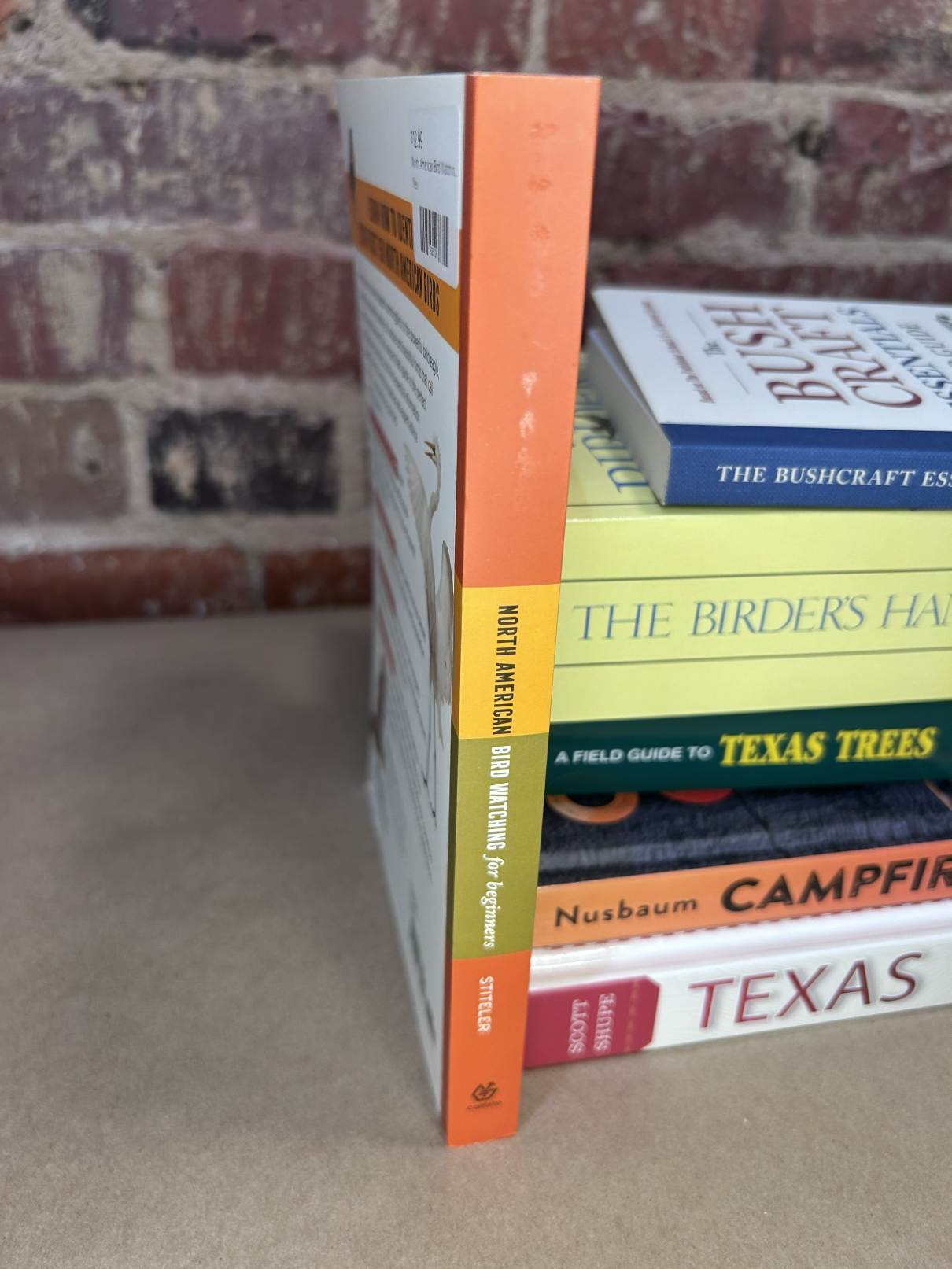 bird watching spine.png