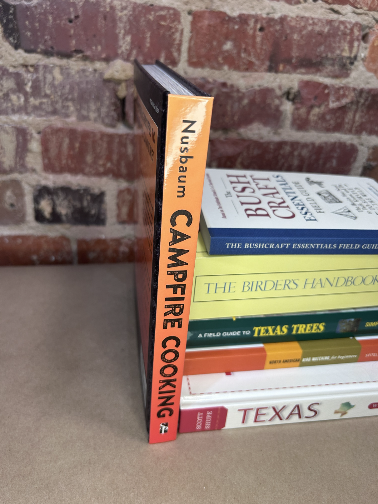 campfire cooking spine.png