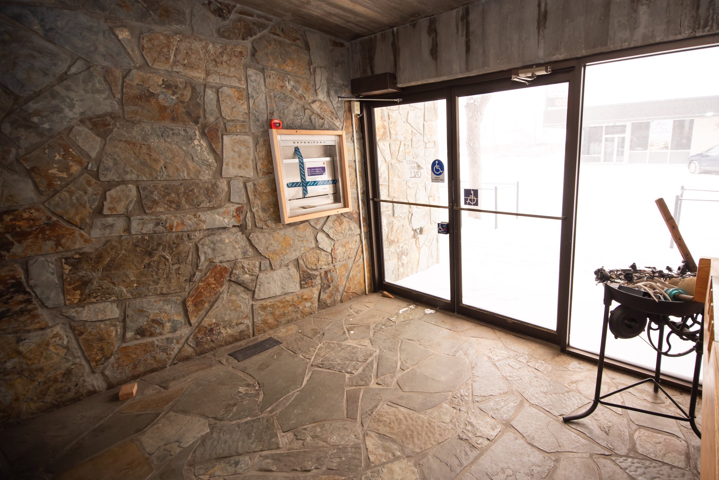 hollypattison_ (9 of 55).jpg