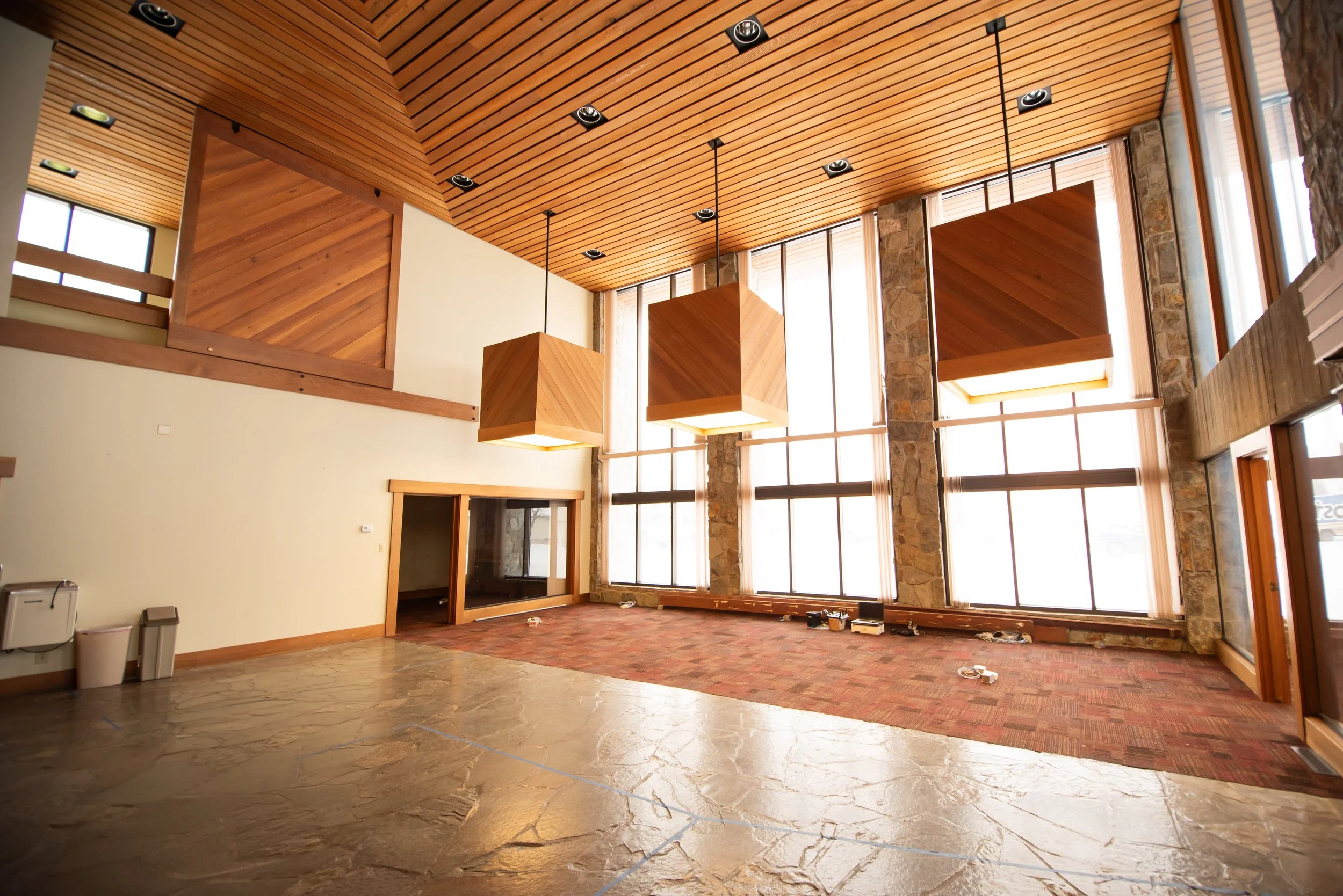 hollypattison_ (12 of 55).jpg