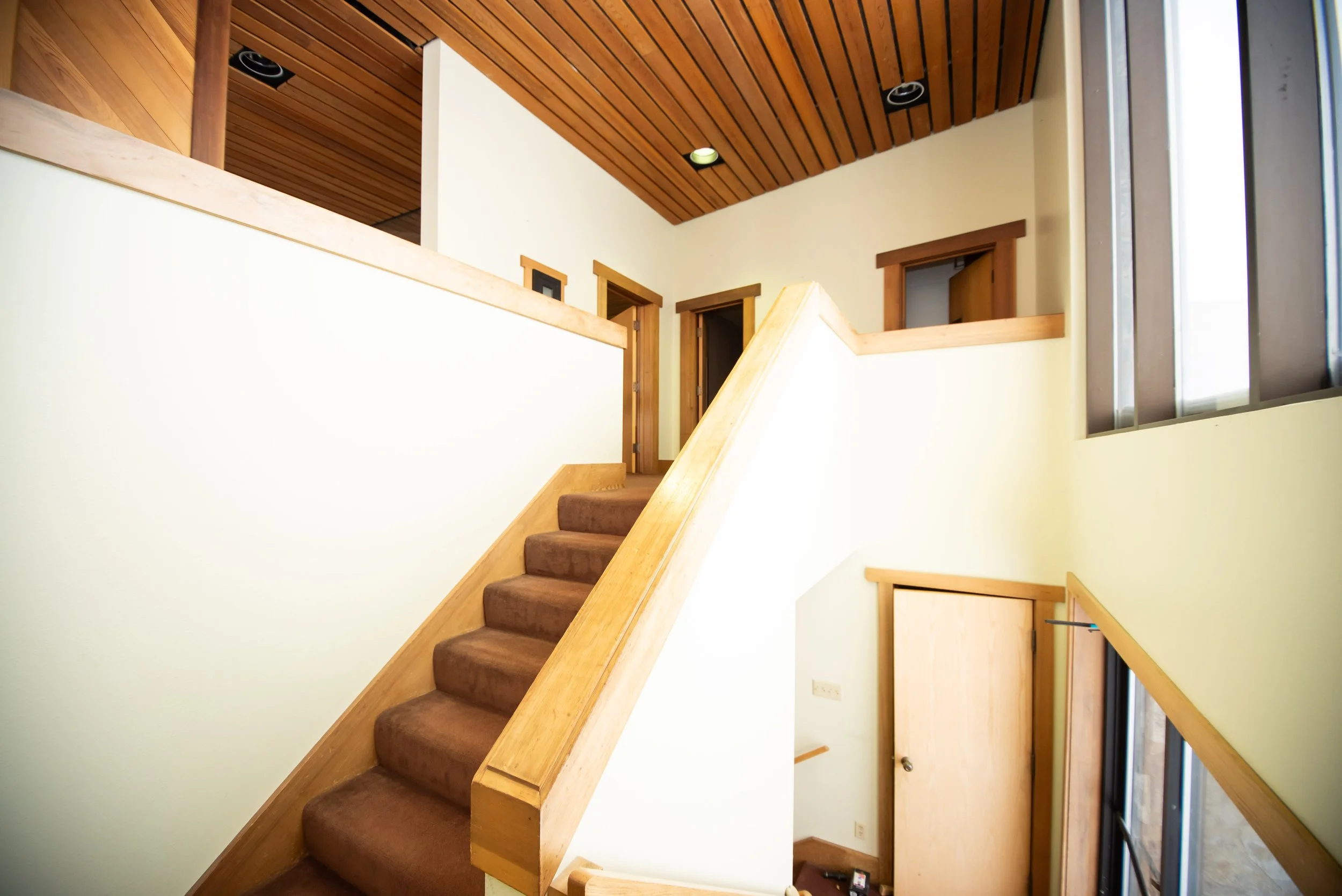 hollypattison_ (30 of 55).jpg