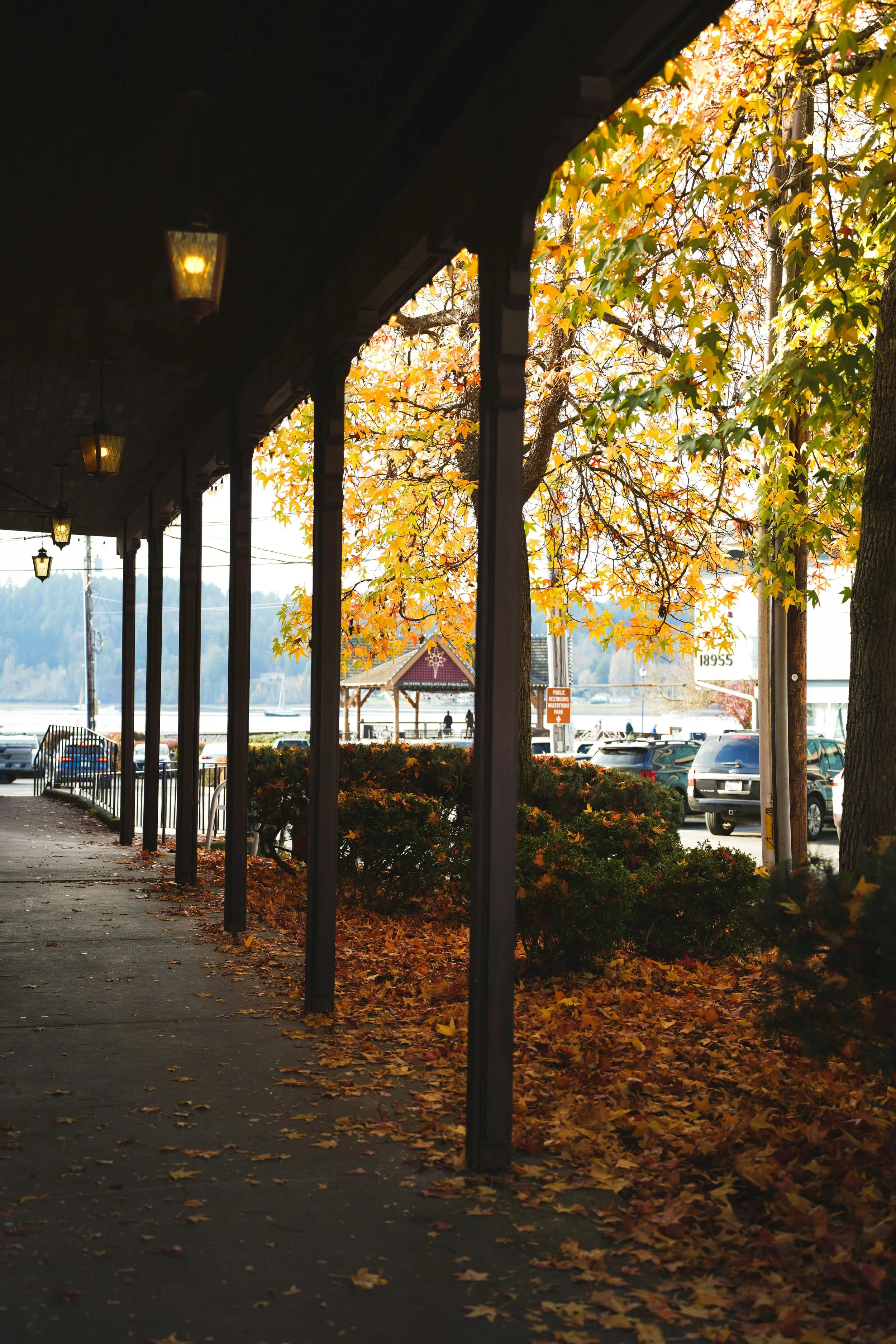 Establishing a Baseline Estimate of Municipal Tax Burden
