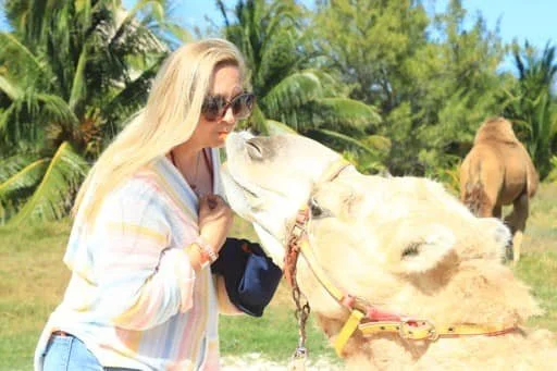 A woman with long blonde hair, wearing sunglasses and a colorful striped shirt, interacts with a large camel in a lush green outdoor setting.