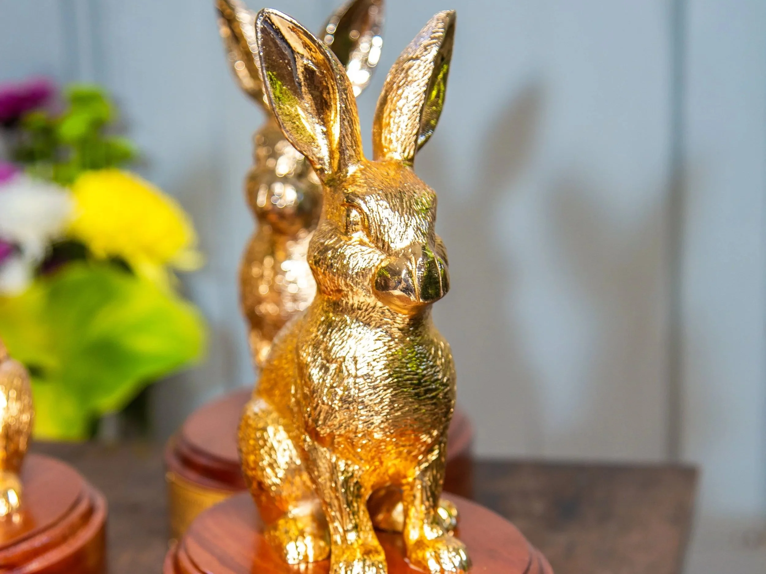 Copia de Oficiales Premios_4259.jpg