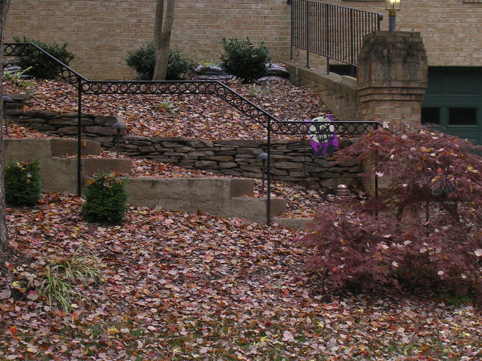 RR_Image_41.jpg