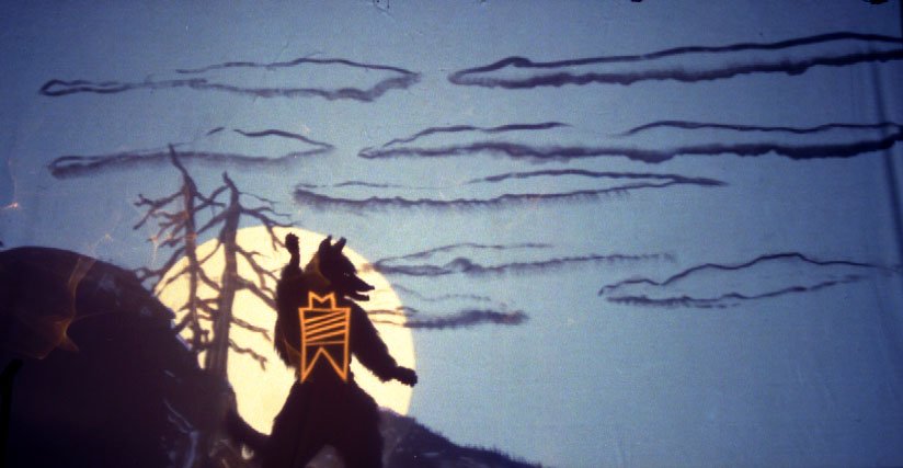 Coyote's Journey (2001)