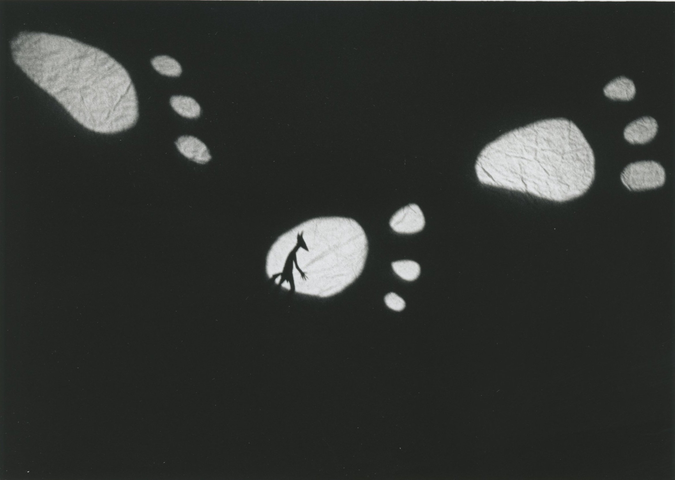 Lou Harrison's Coyote Stories (1997)