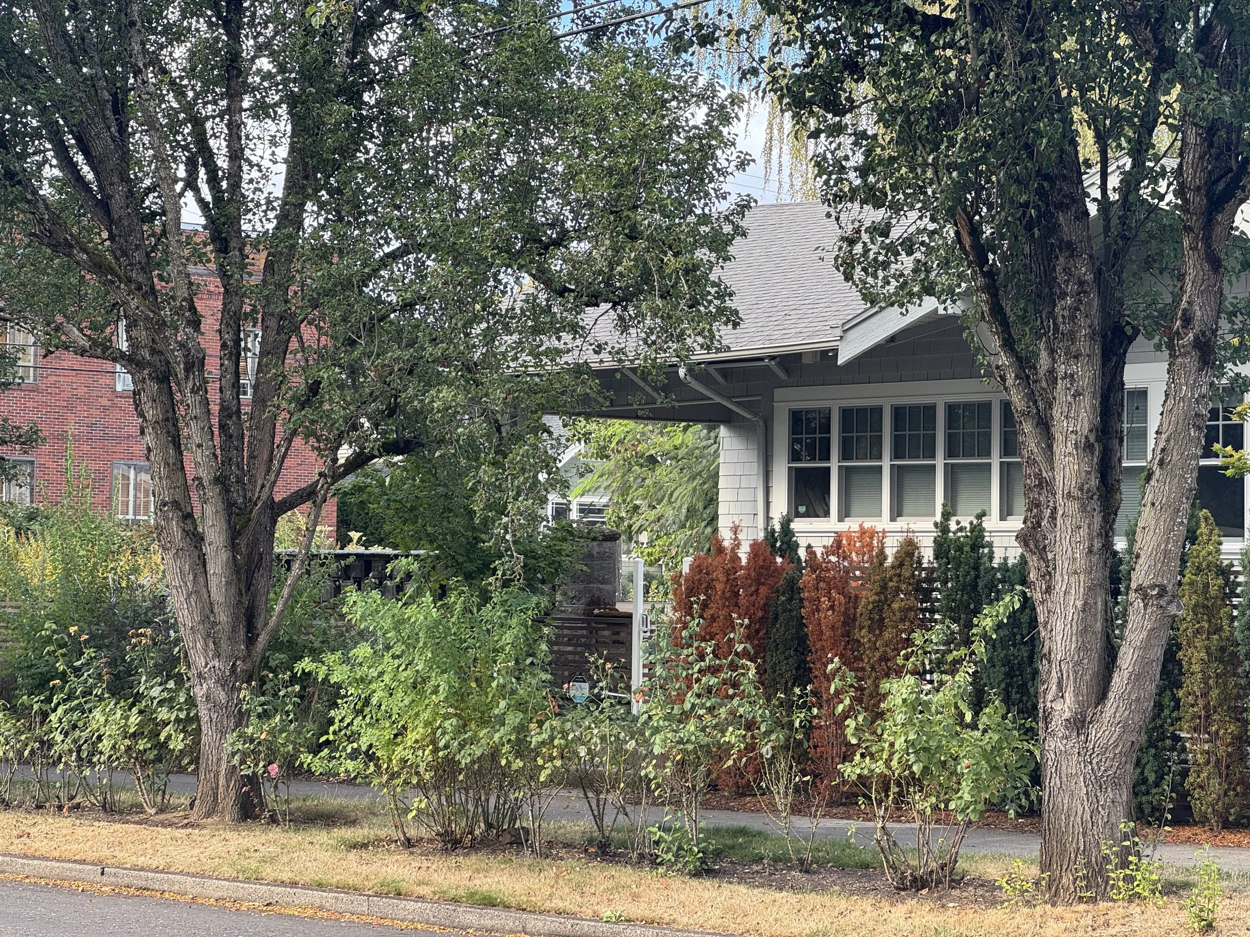 Organization Planning Meeting at the Fernwood Clubhouse
