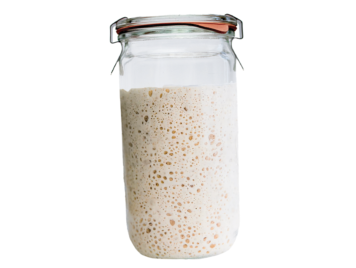 A glass jar filled with sourdough starter, showing a bubbly, slightly frothy, and creamy liquid with many small holes.