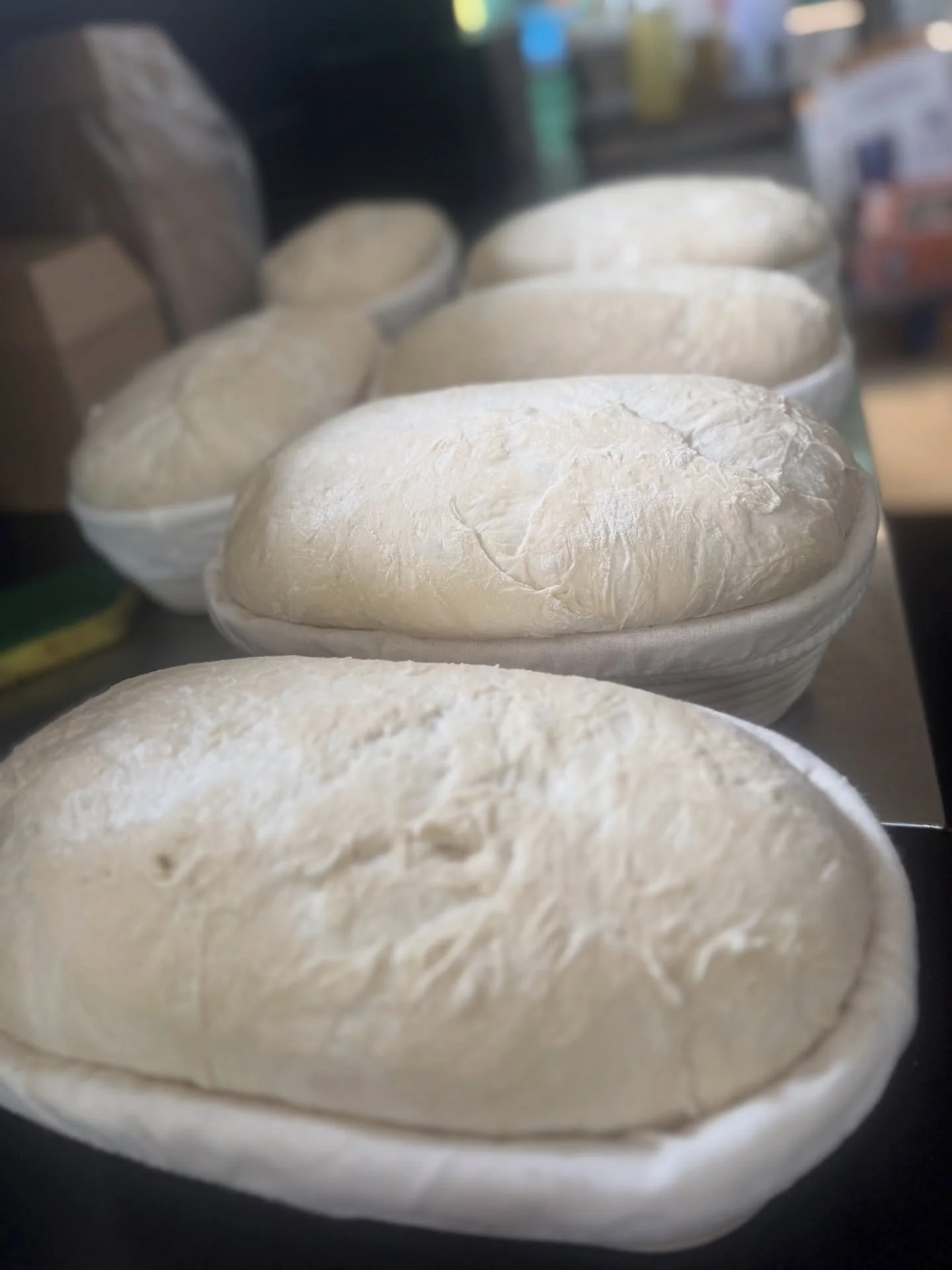 Hi folks, just a quick reminder that at this stage we&rsquo;re operating by bookings, invitations, appointment and private events, rather than walk-ins. All current bookings and events are going ahead as planned.

Our events calendar will be live in 