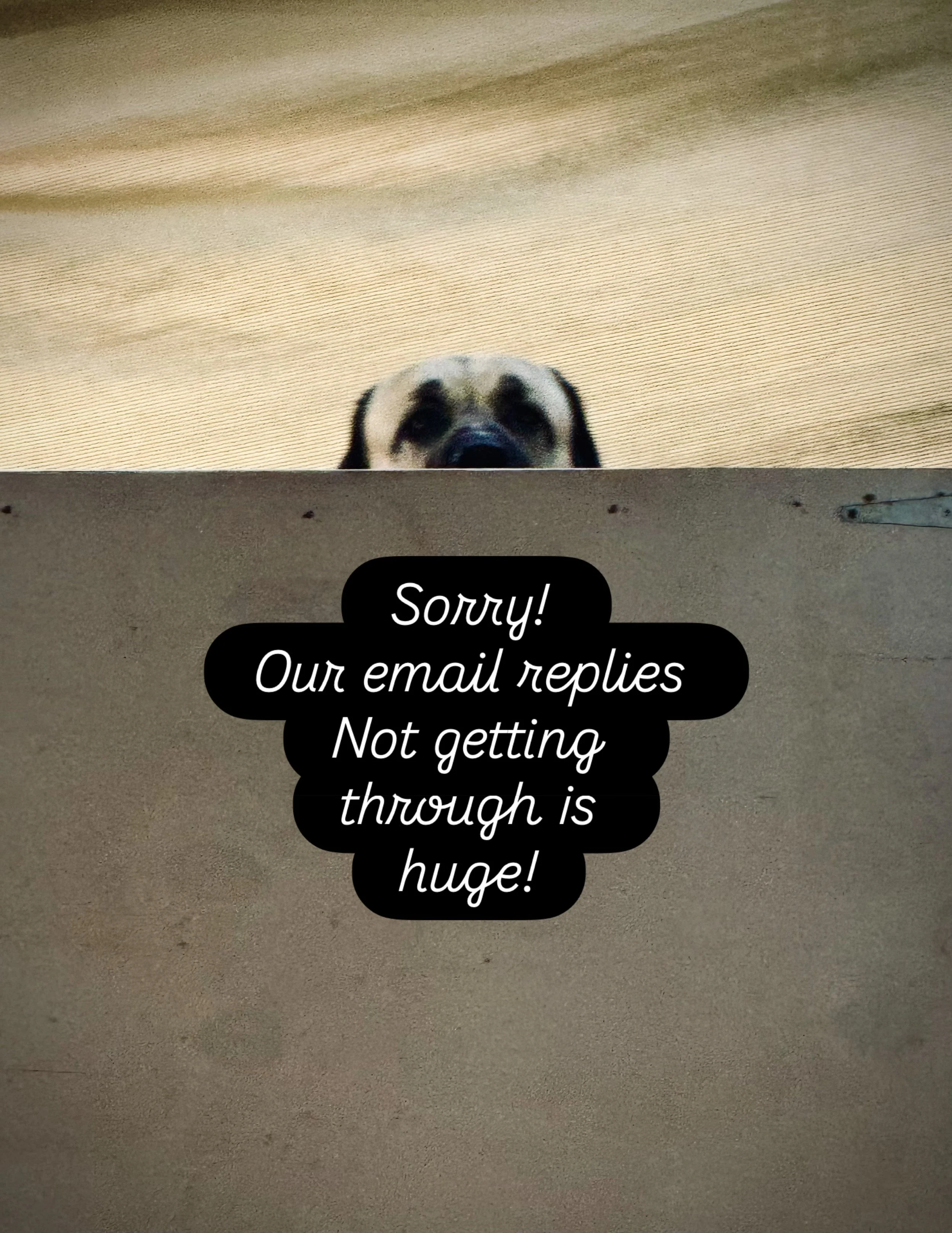 Folks!!! The email response issue runs deep!! We have discovered that many many many! Of our reply emails have gone missing!!! Please! If you had enquiries and have not heard from us, send us a new email with your phone number and we will get back to