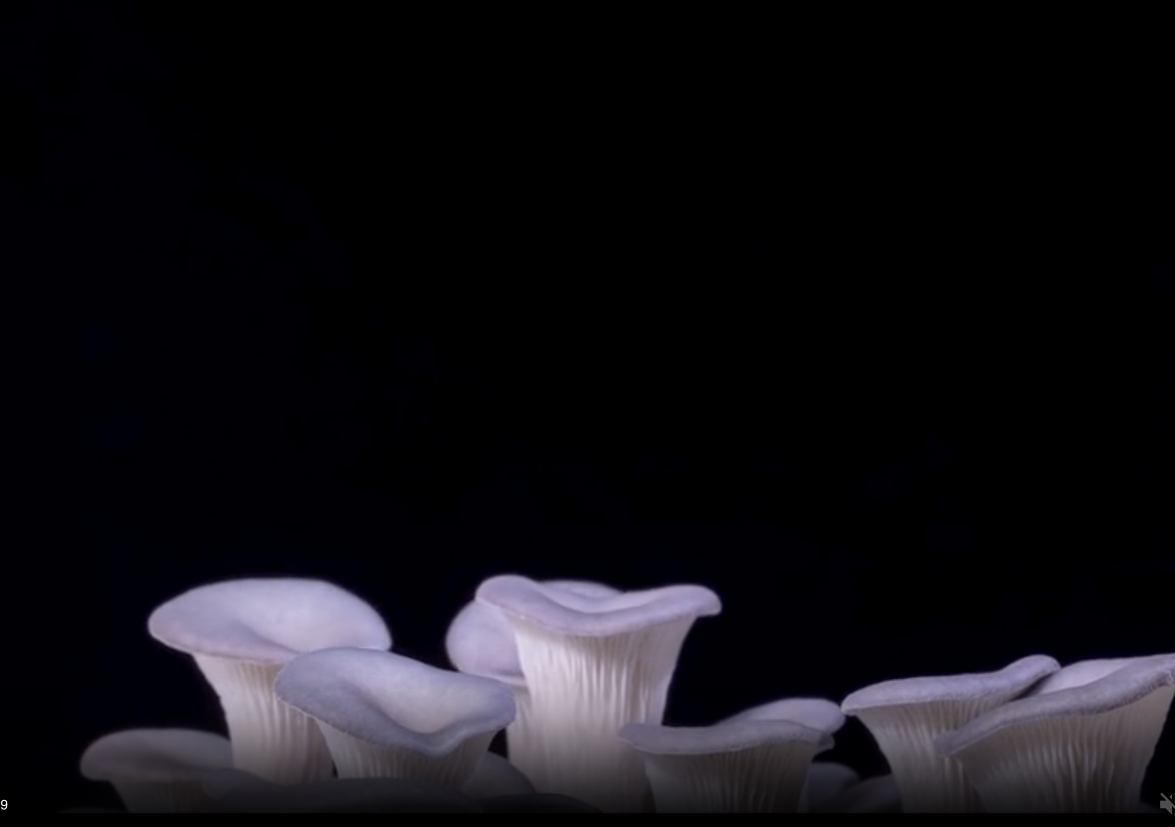 Screenshot 2025-12-22 at 2.03.59 pm.png