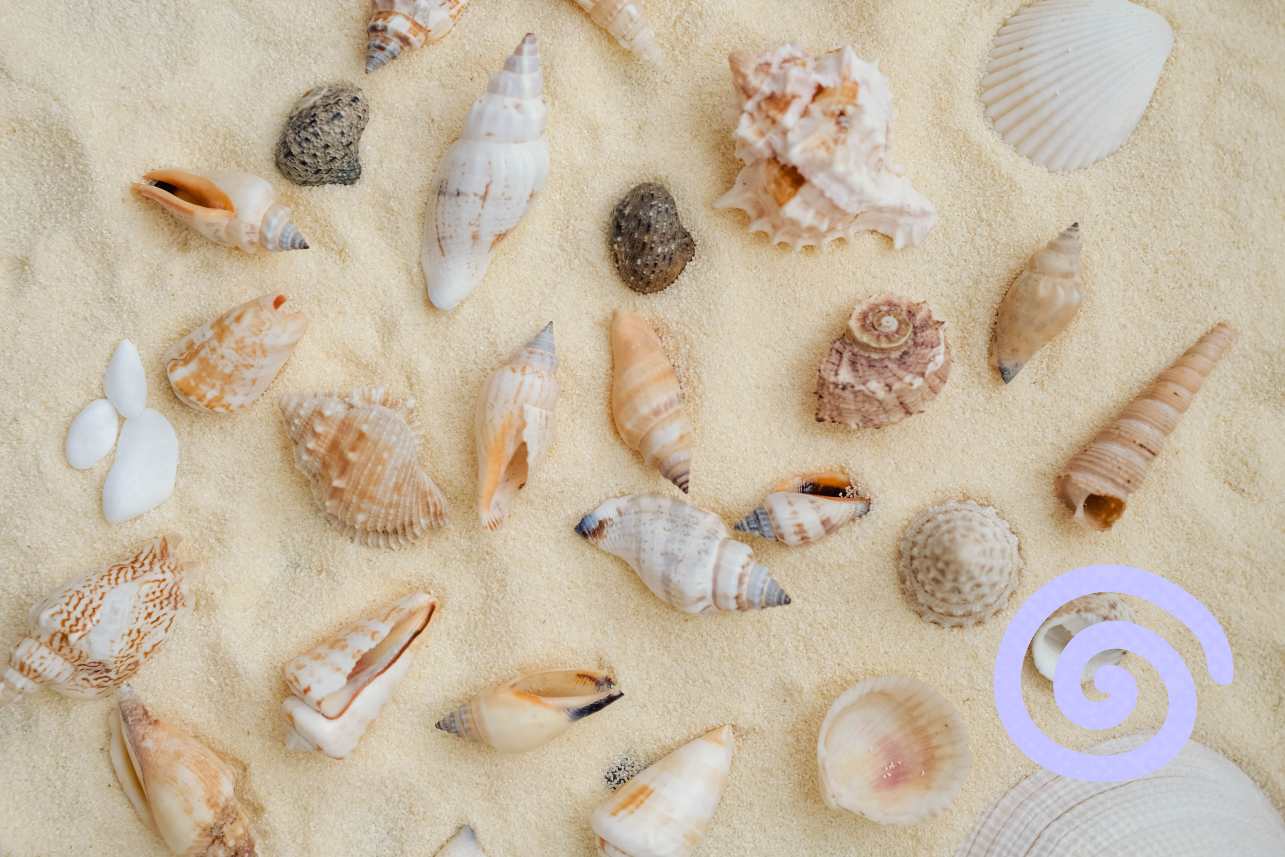 How to Stop Your Anxious Cycles