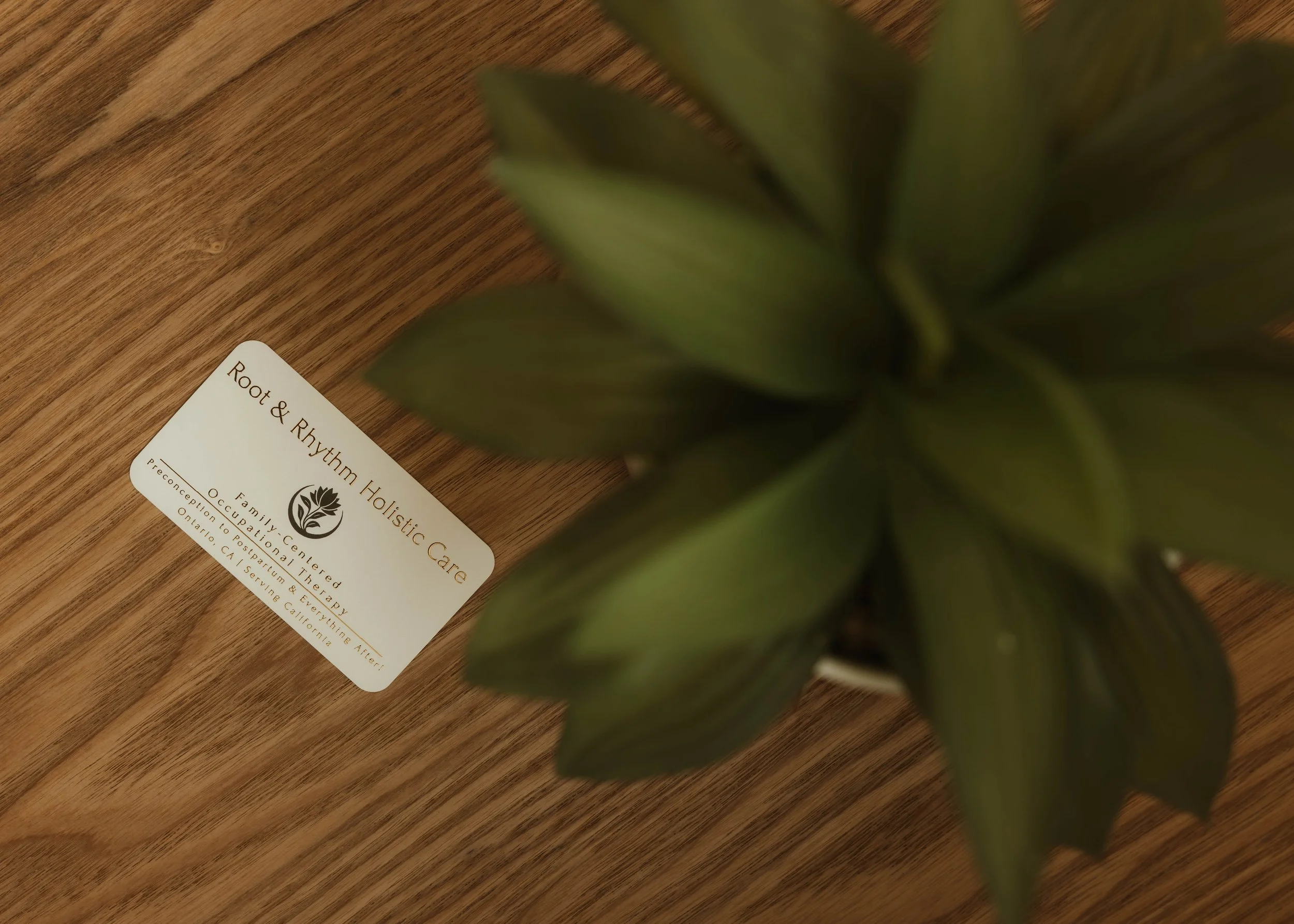 Root & Rhythm Holistic Care branding displayed alongside natural greenery and warm textures, reflecting grounded wellness, family-centered care, and a holistic approach to everyday health and growth.