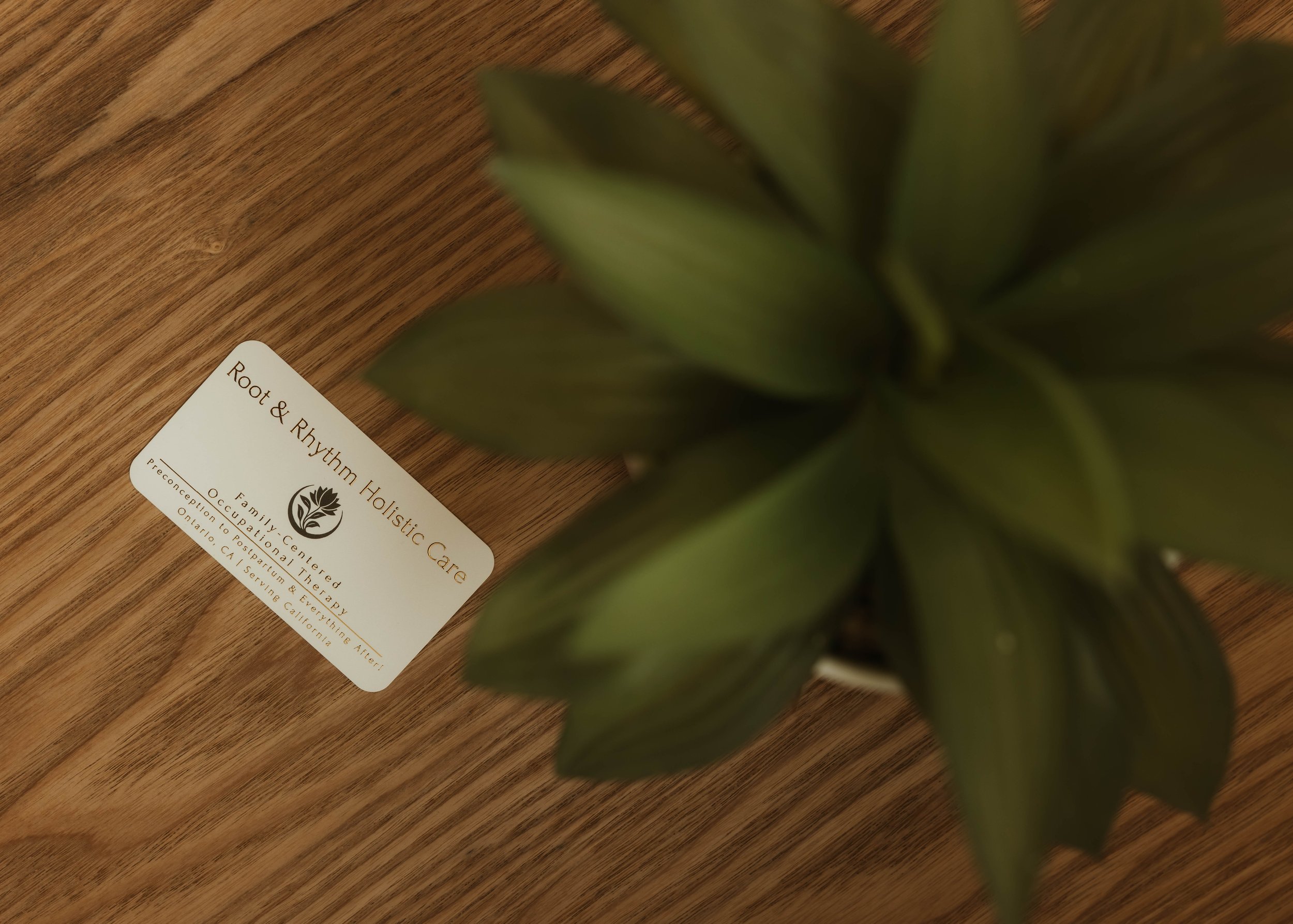 Partially visible potted plant on a wooden surface next to a white business card with black text.