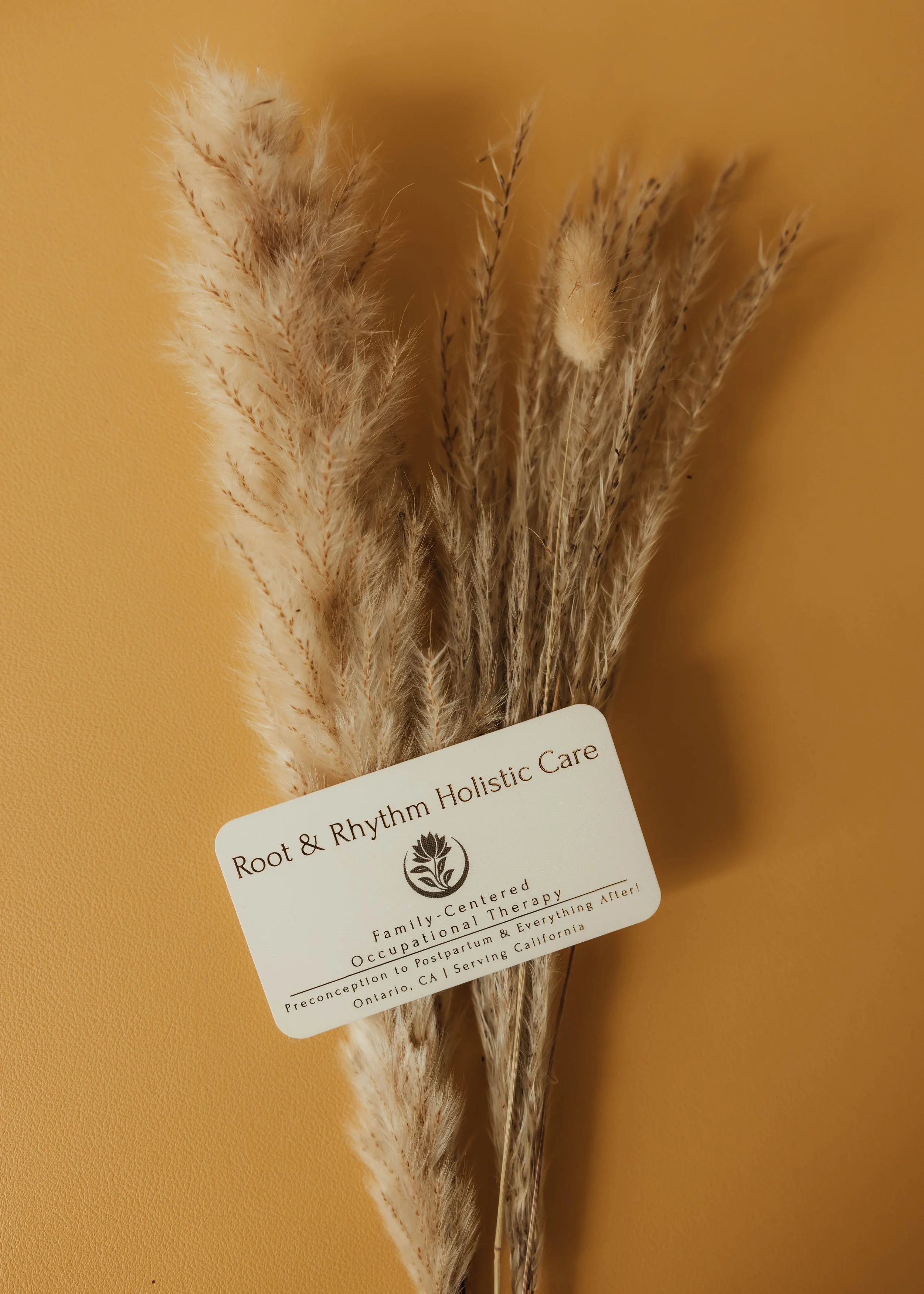 Root & Rhythm Holistic Care branding displayed through natural textures and grounded design, reflecting family-centered occupational therapy, holistic wellness, and compassionate support from preconception to postpartum and beyond across California.