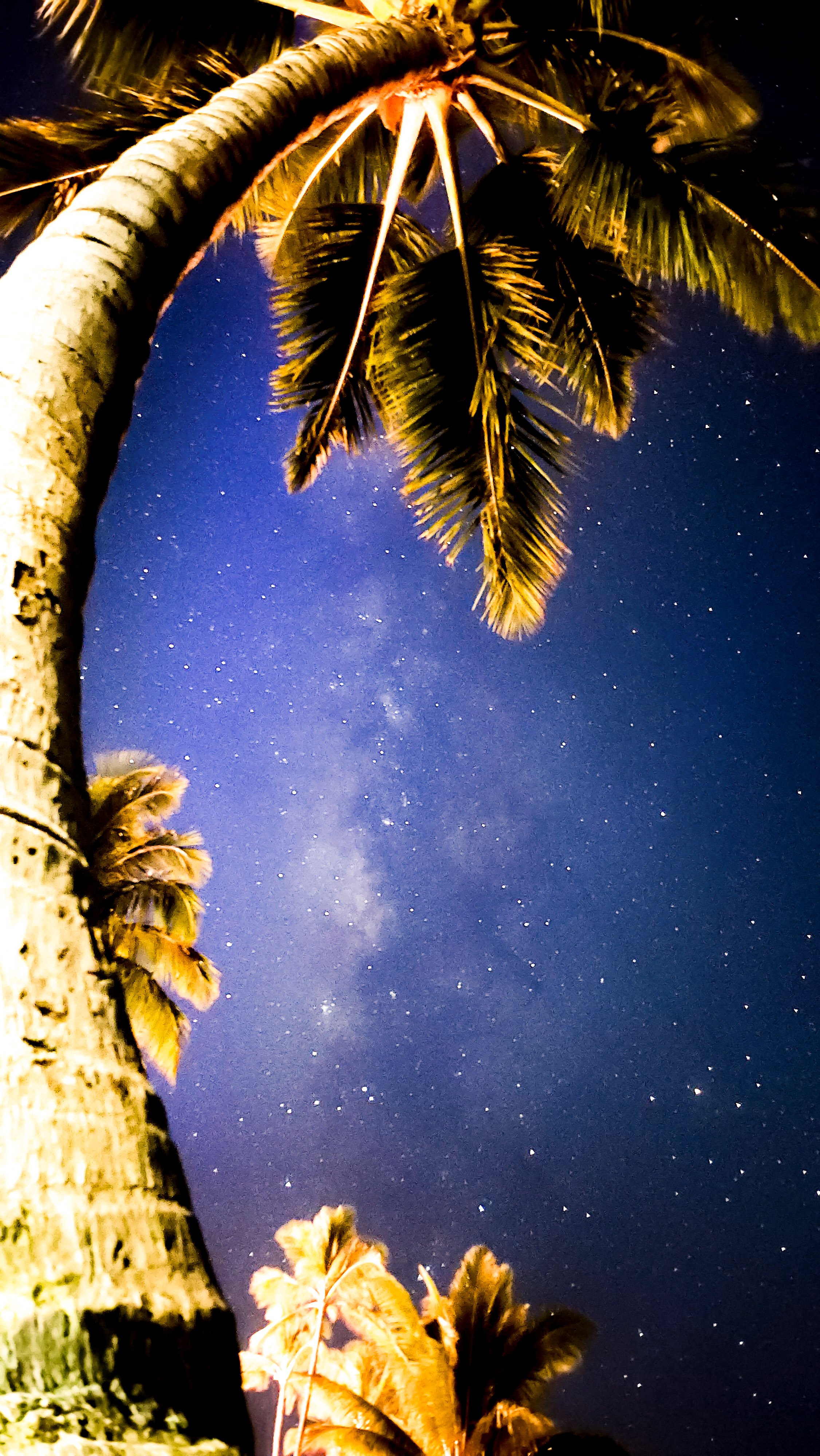 Milky Way from Wailea Beach Resort