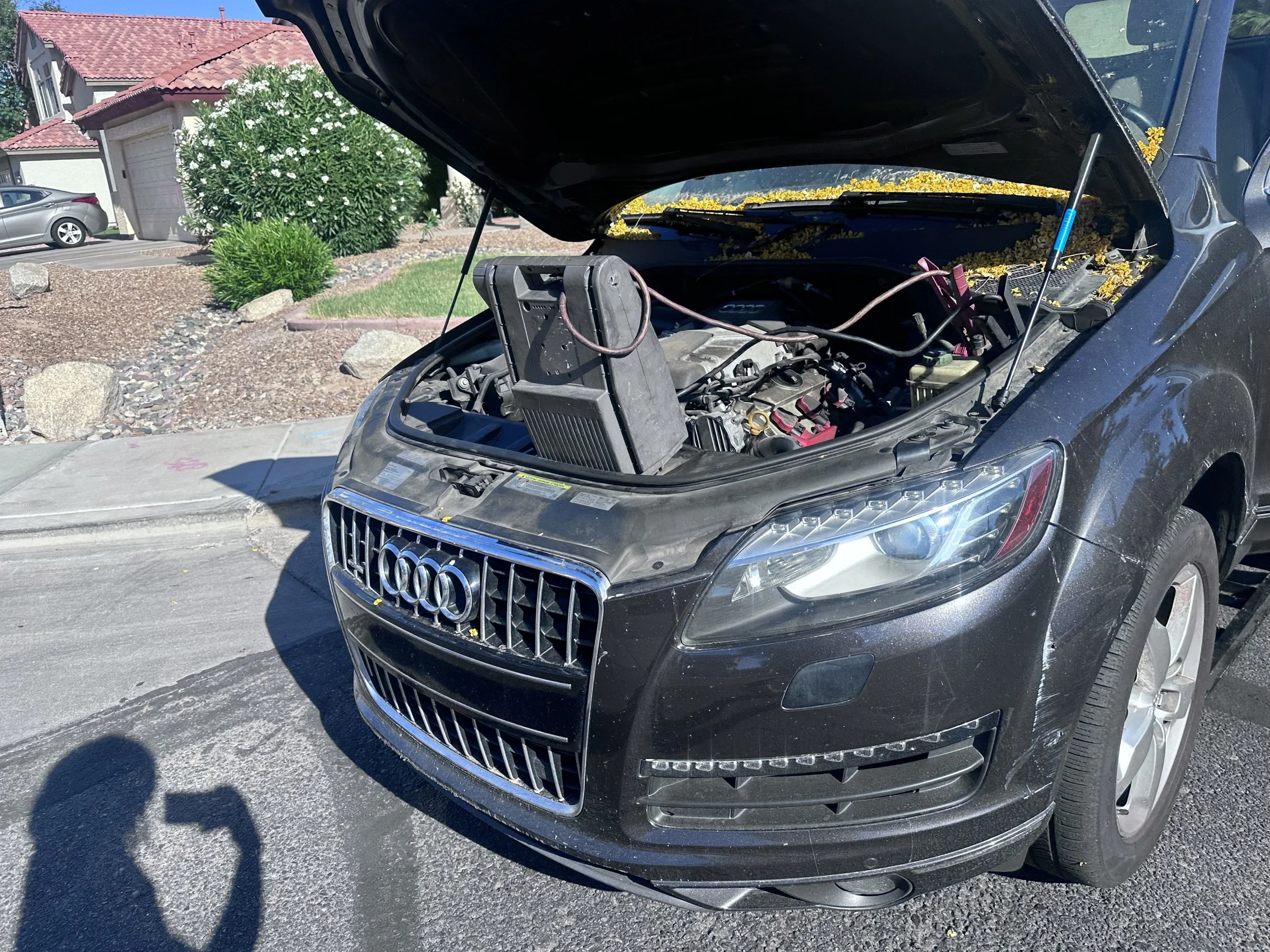 A black Audi car with its hood open, showing the engine and some yellow flower petals inside the engine compartment, parked on a residential street with houses and plants in the background.