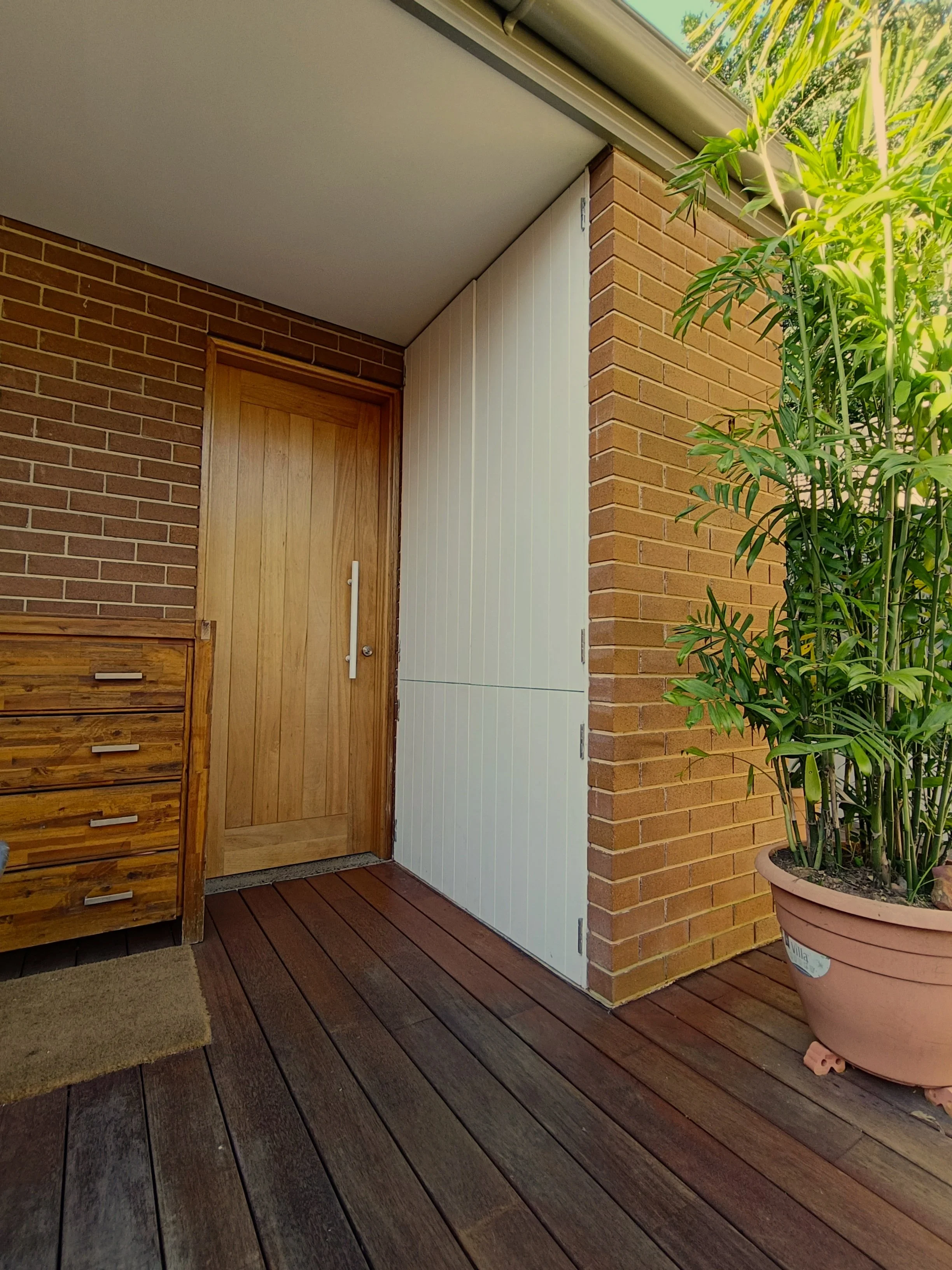 1000018223.jpg