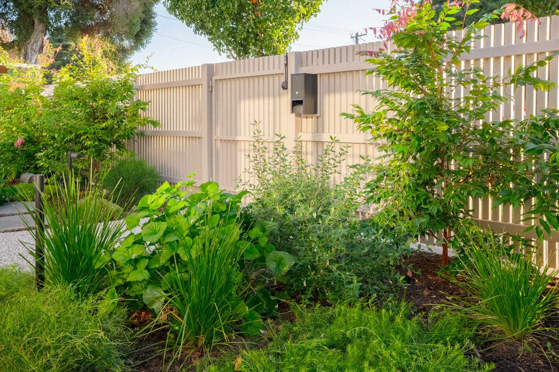 A lush garden with various green plants and bushes, enclosed by a beige wooden fence, under a clear sky.