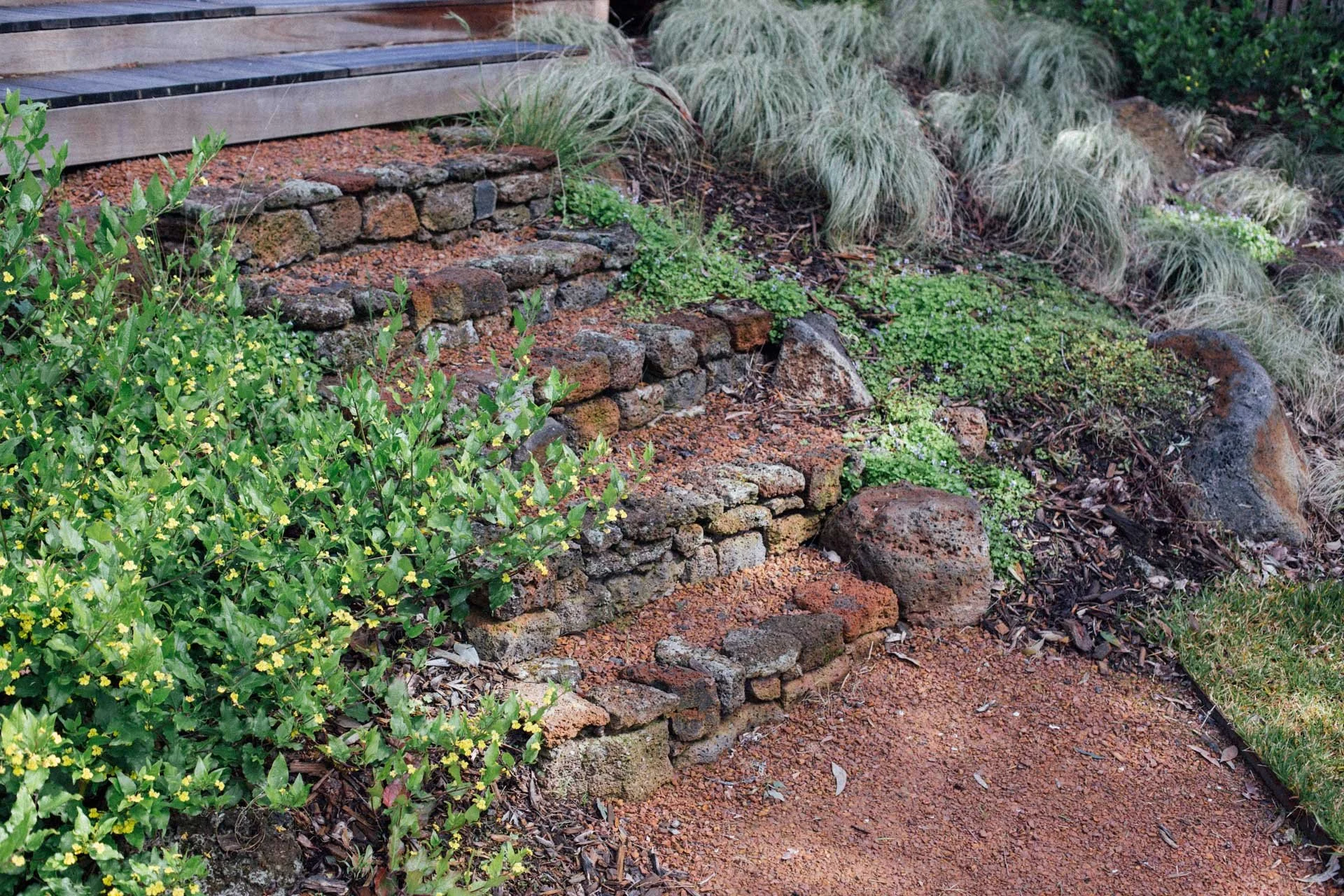 Stone steps in a garden with green plants and grasses on the side.